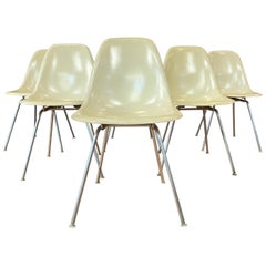 Jeu de six chaises d'appoint Eames pour Herman Miller DSX et DSG en parchemin:: 1959