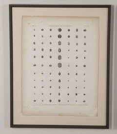 Set of Six Early 19th Century Framed First Edition Prints