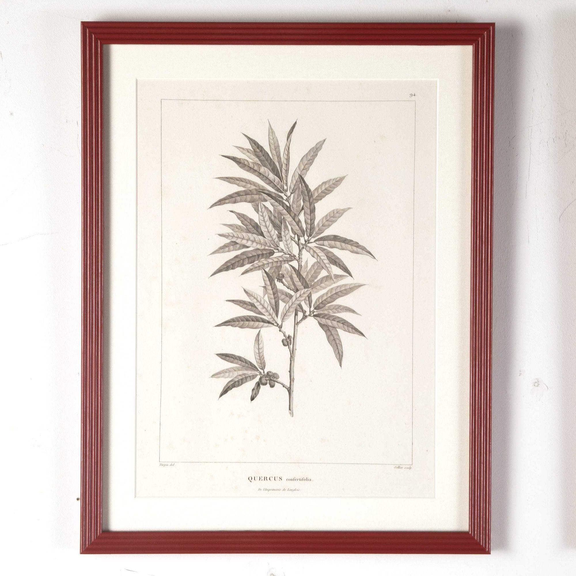 Set of six early 19th Century French botanical stipple engravings.
These engravings were printed by Langlois, a master printer who worked with Redoute.
This beautiful collection is mounted within hand-painted and lacquered reeded frames with