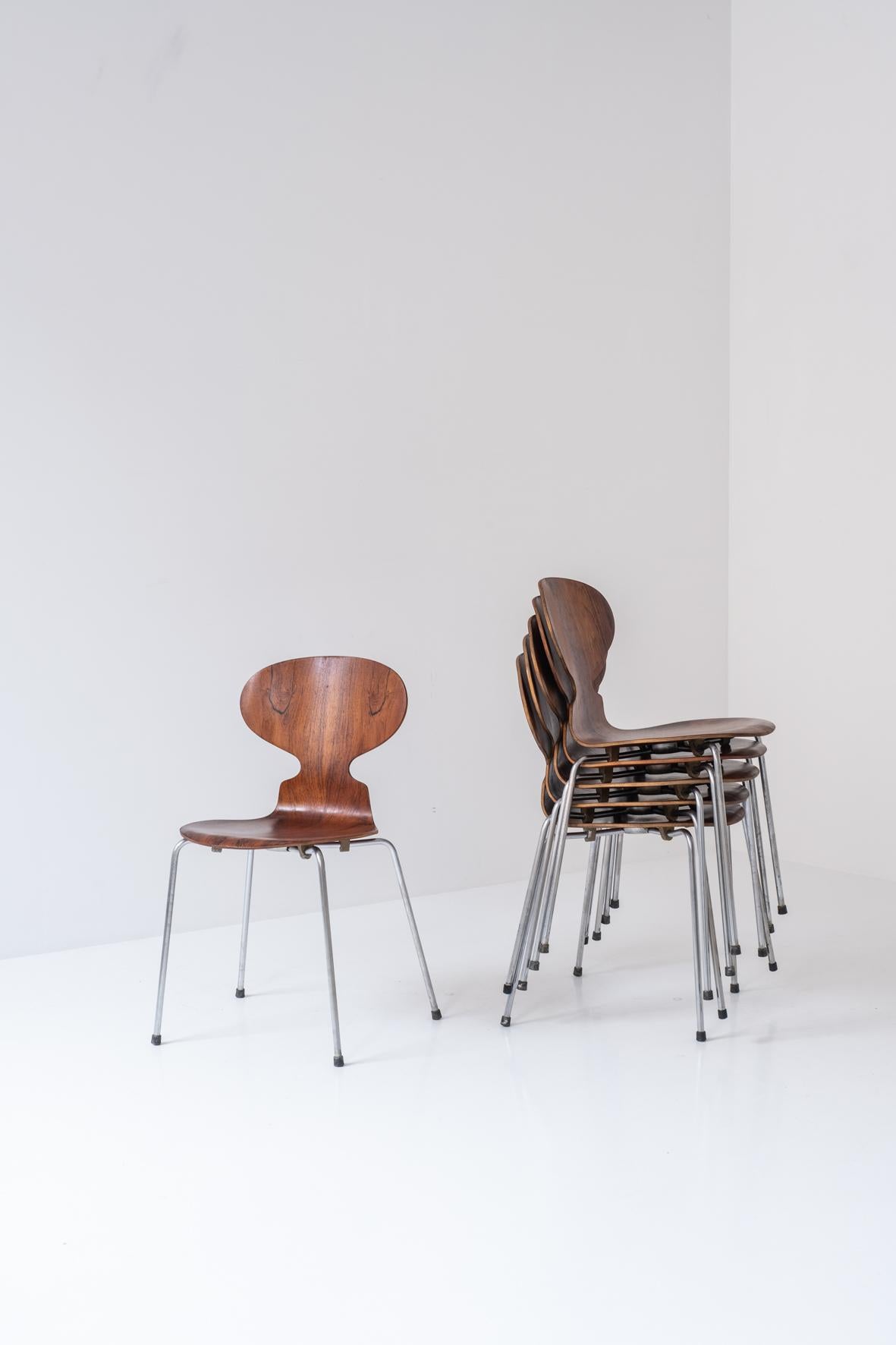 Set of six early ‘Ant’ chairs by Arne Jacobsen for Fritz Hansen, DK 1951 9