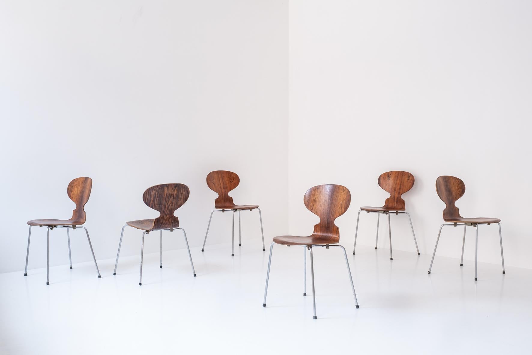 Set of six early ‘Ant’ chairs designed by Arne Jacobsen for Fritz Hansen, Denmark 1951. This is Model No. 3100 and features rosewood (!) seats and a tubular steel frames. Presented in a very good condition. Labeled underneath.


Measurements
H 78 x
