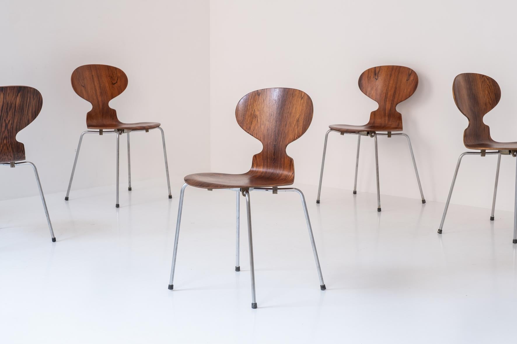 Scandinavian Modern Set of six early ‘Ant’ chairs by Arne Jacobsen for Fritz Hansen, DK 1951