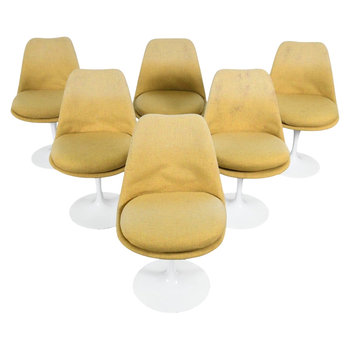 Sechser-Set „Tulip“-Esszimmerstühle von Eero Saarinen im Angebot