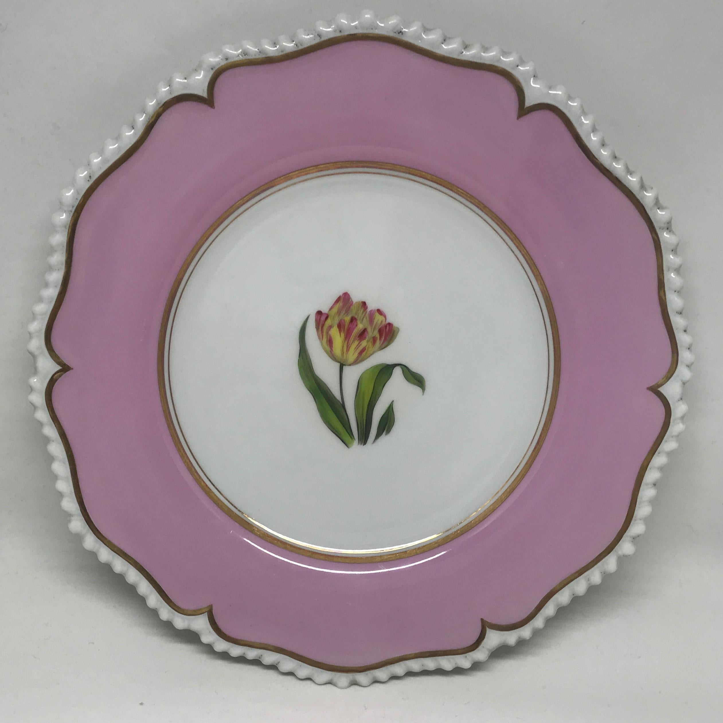 Set of six pink floral plates. Botanical painted dishes with pale fuchsia border bordered with gilt bands and white rope twist lobed edge; specimen flowers identified on the reverse include: iris, hepatica, anemone, poppy, tulip, and larkspur. Red