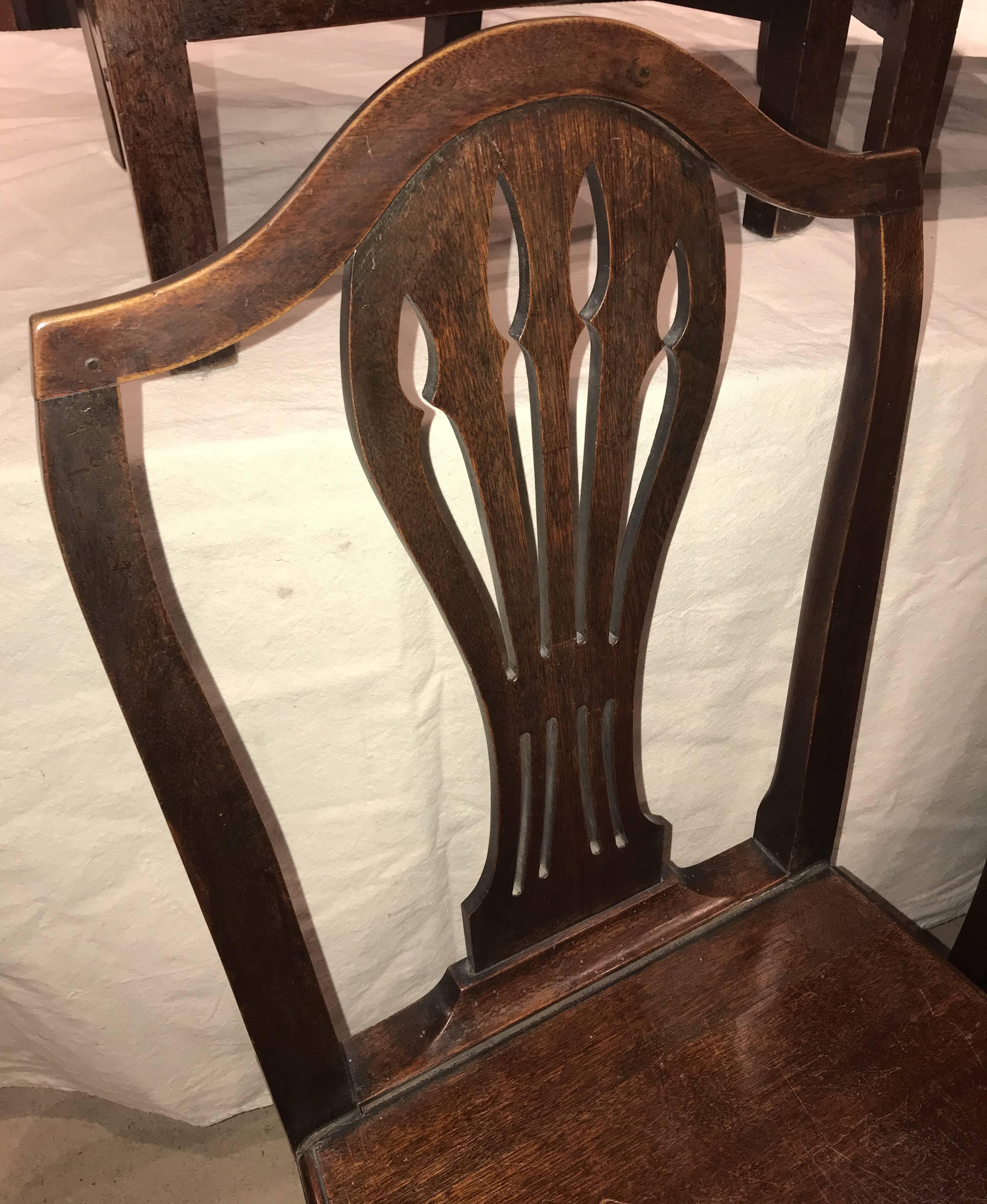 georgian oak dining chairs