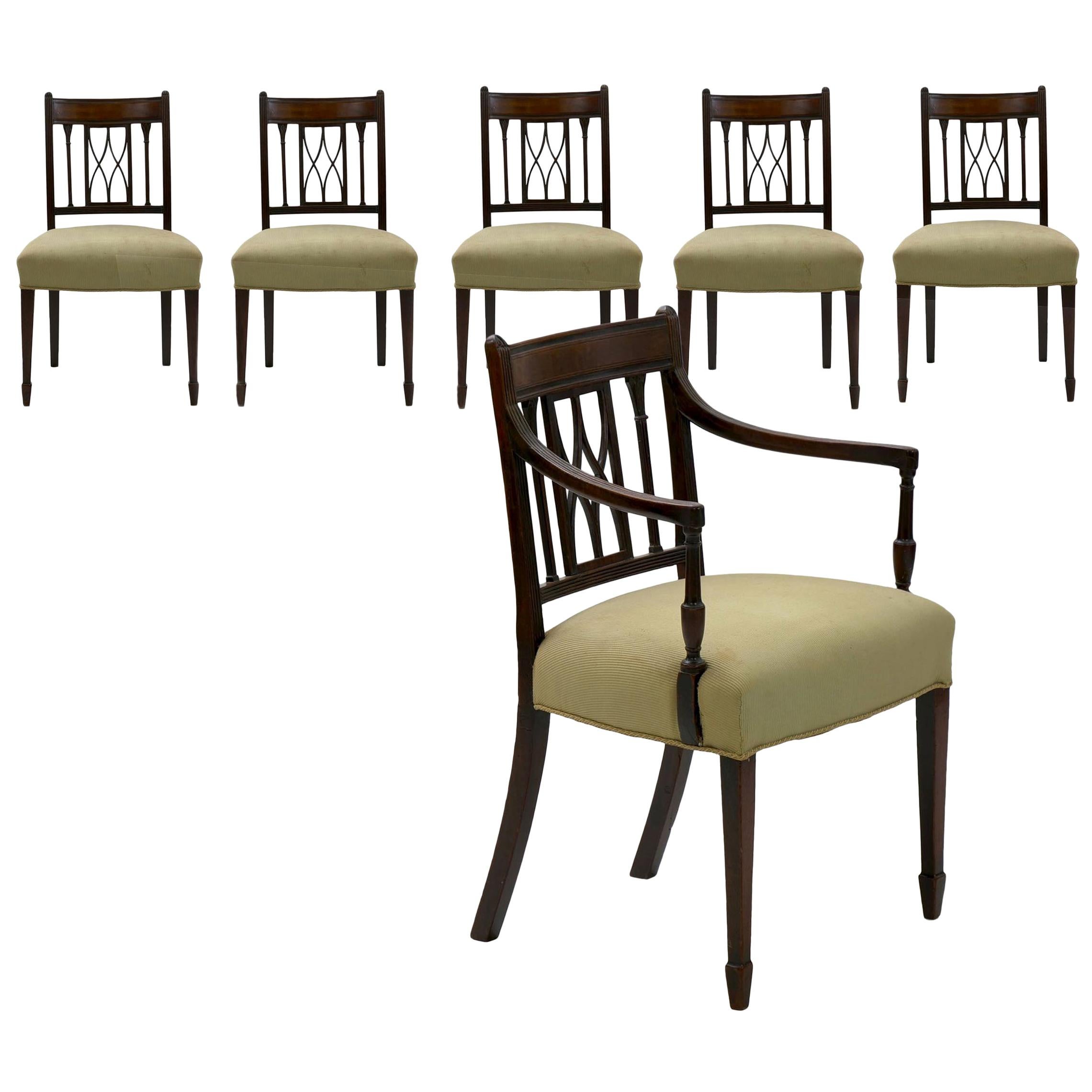 Set of Six English Regency Carved Mahogany Antique Dining Chairs, circa 1800