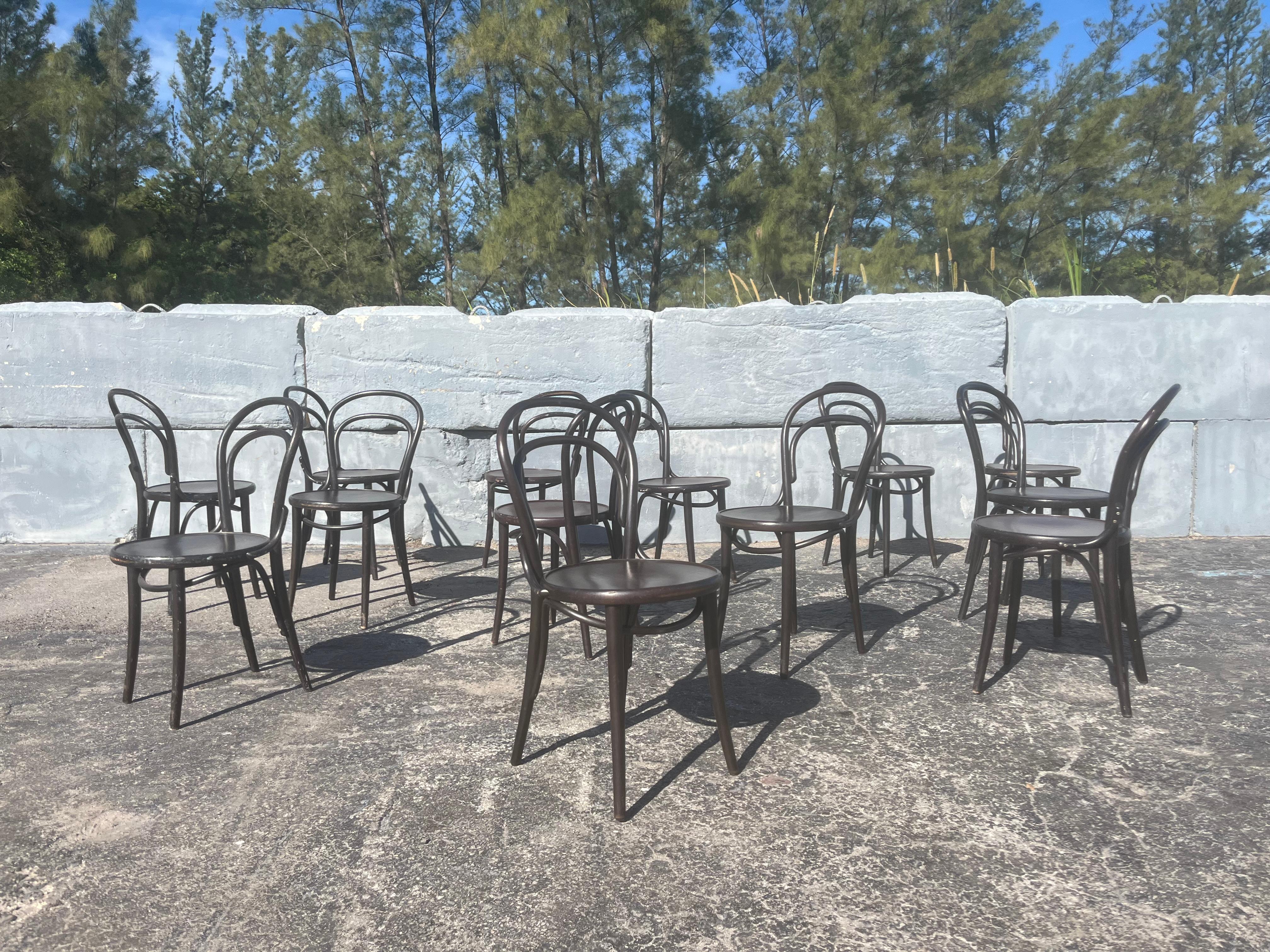 Set of Six Era Chairs by Ton, Bentwood Chairs, Thonet Style For Sale 6