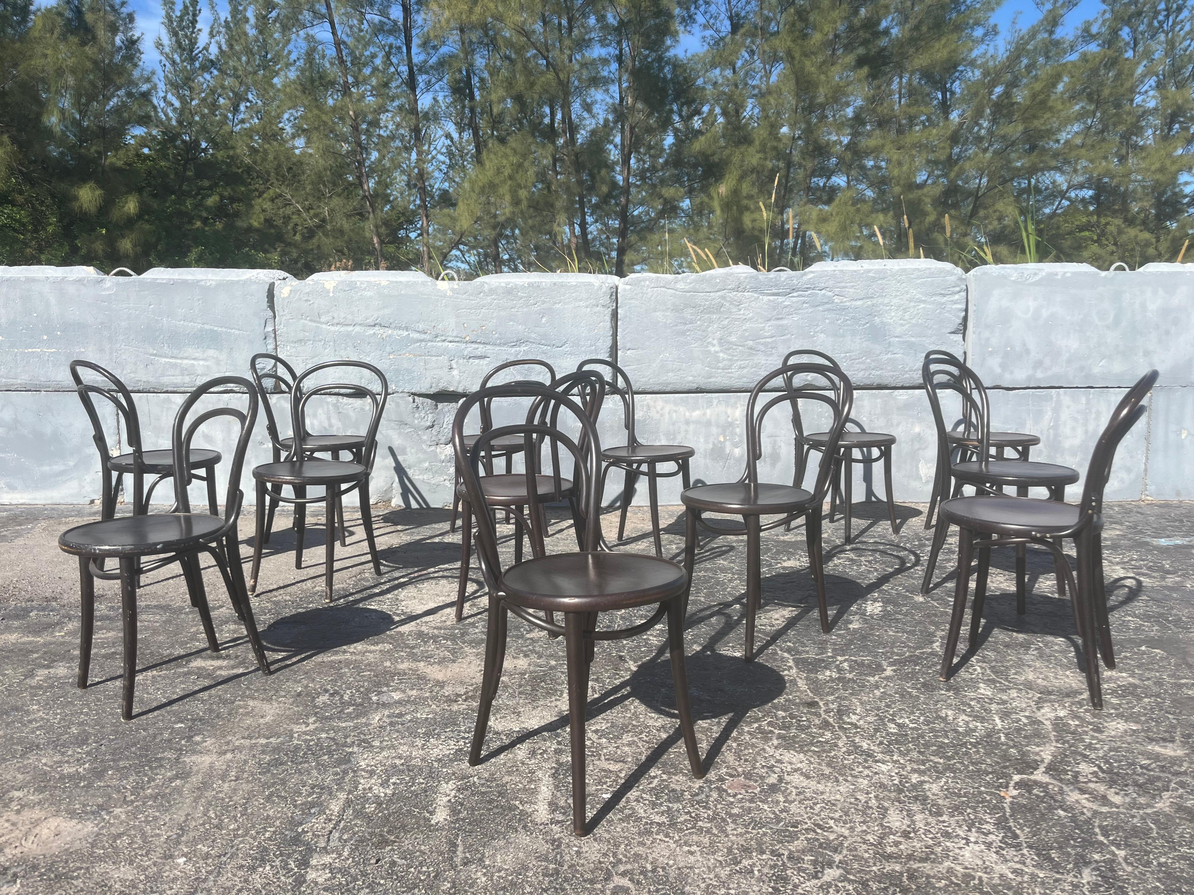 Set of Six Era Chairs by Ton, Bentwood Chairs, Thonet Style For Sale 7