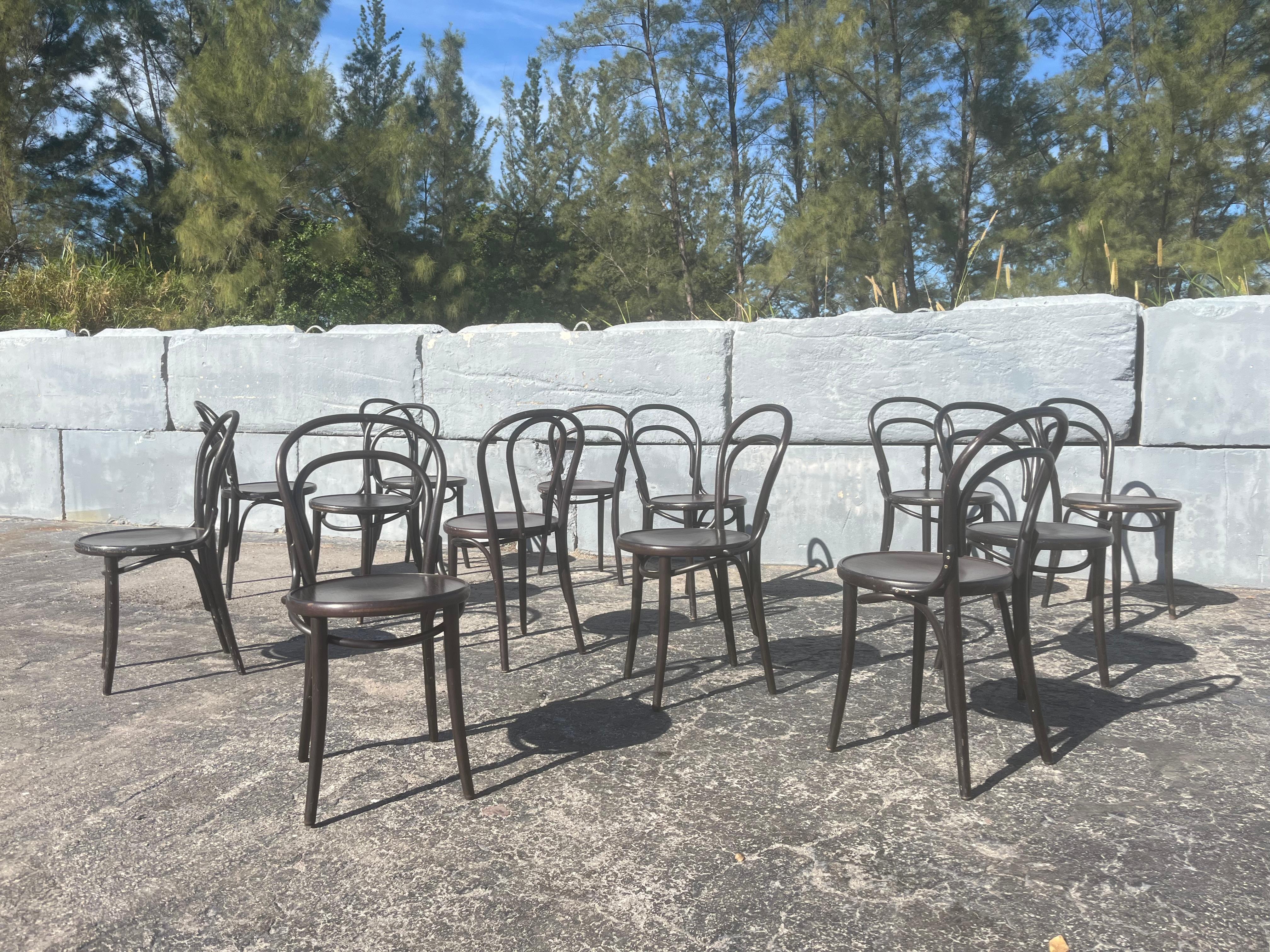 Set of Six Ton Bentwood Dining Chairs with dark brown finish. Large quantity available.
Chairs retail for $500 each. Shipping fee for 2 chairs is $150, $30 will be added for any additional chair.