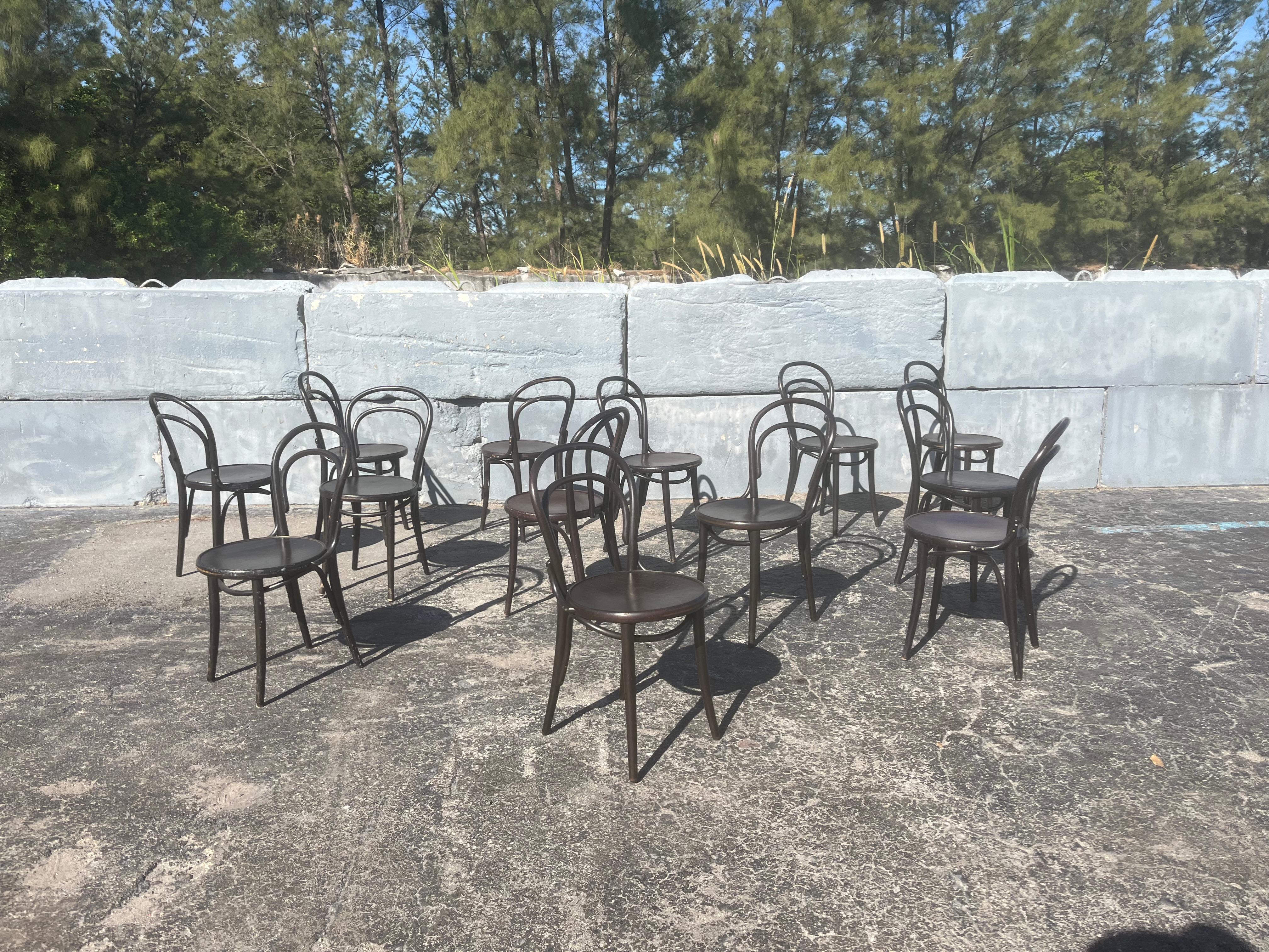 Contemporary Set of Six Era Chairs by Ton, Bentwood Chairs, Thonet Style For Sale