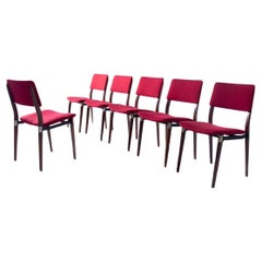 Ensemble de six chaises Eugenio Gerli S82 par Tecno, label