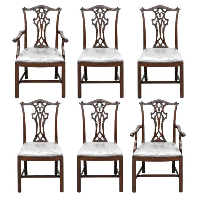 Set Of Six Fine Quality  Mahogany Chippendale Style Dining Chairs