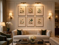 Set of Six Framed 18th c. Engravings of Moths