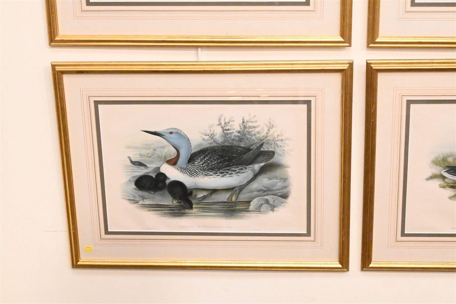 American Classical Set of Six Framed and Matted Duck Prints For Sale