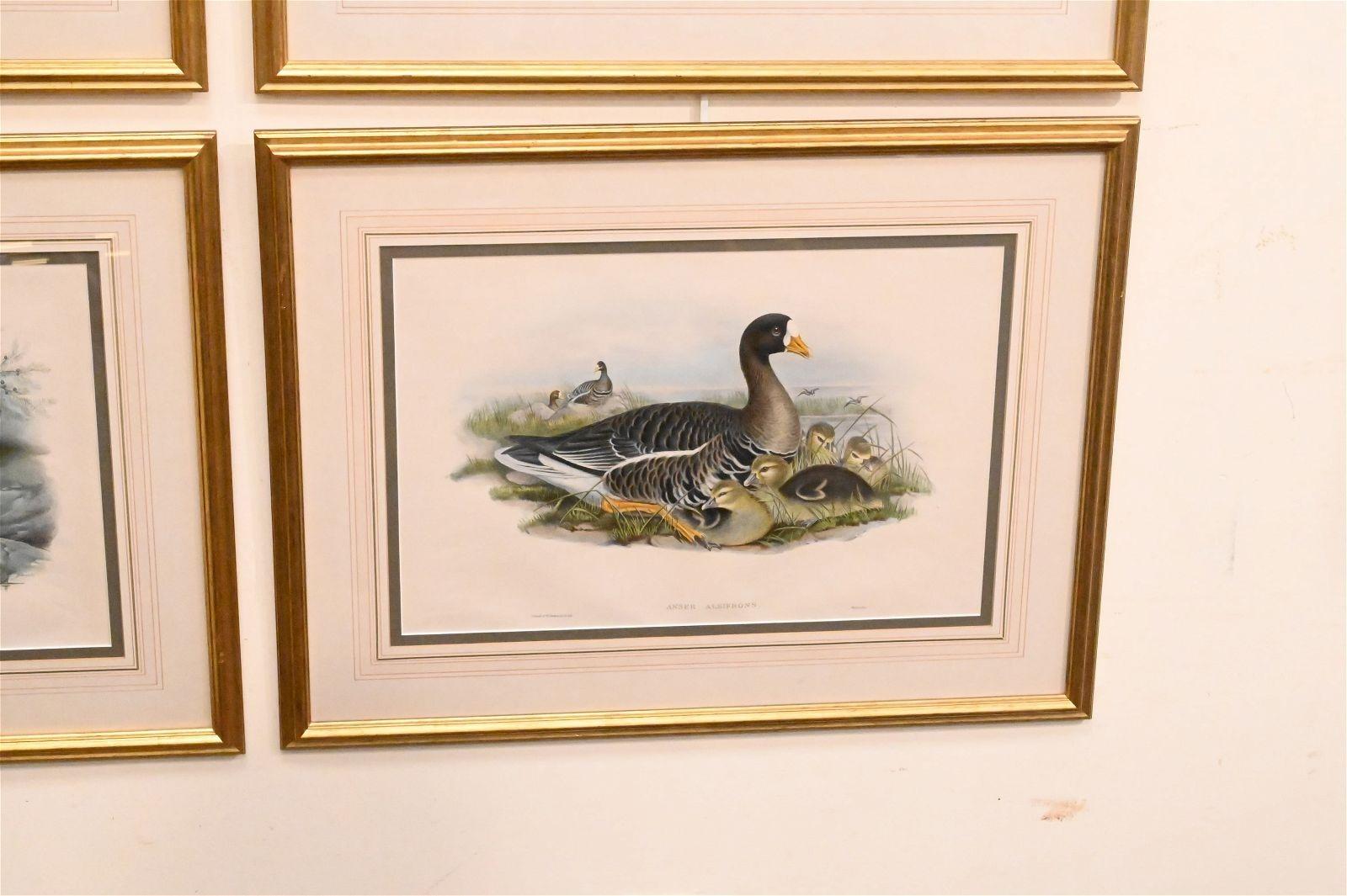 American Set of Six Framed and Matted Duck Prints For Sale