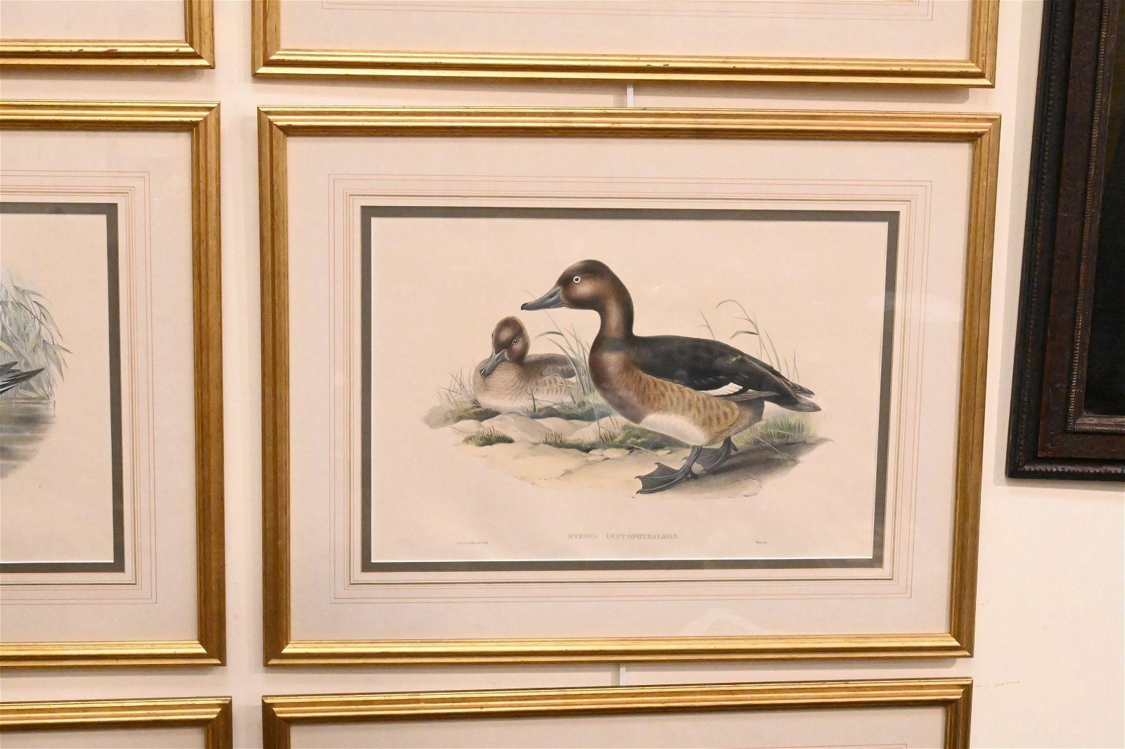 Set of Six Framed and Matted Duck Prints In Good Condition For Sale In Locust Valley, NY
