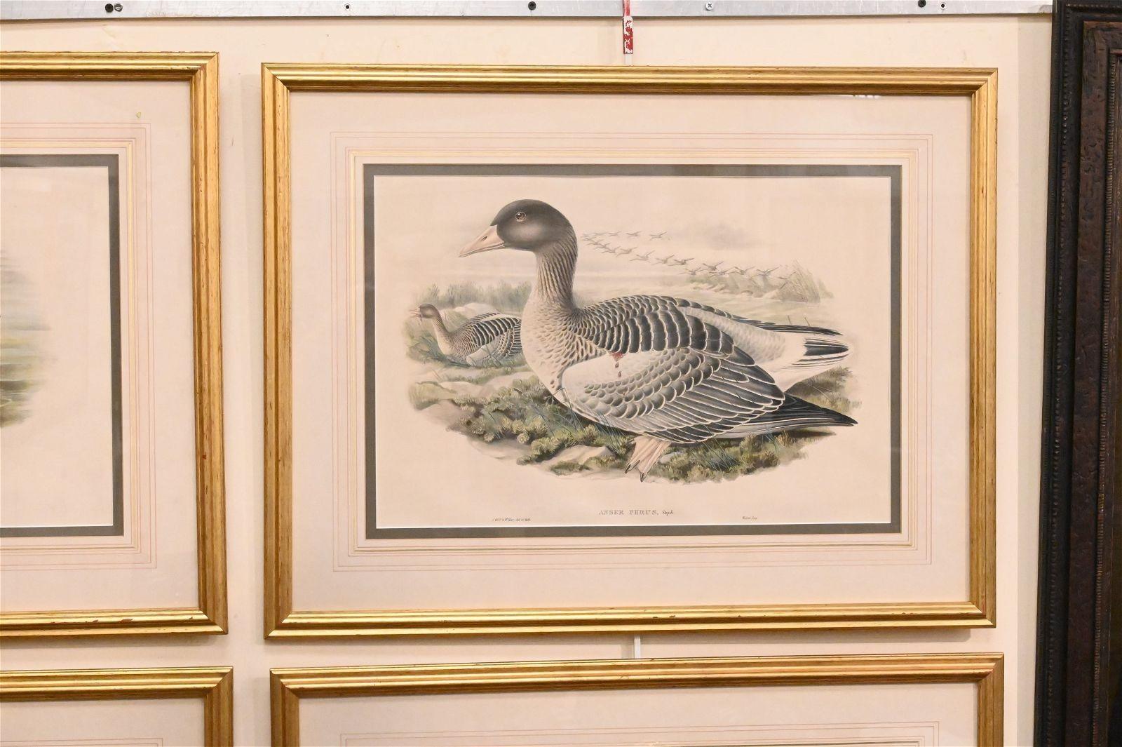 20th Century Set of Six Framed and Matted Duck Prints