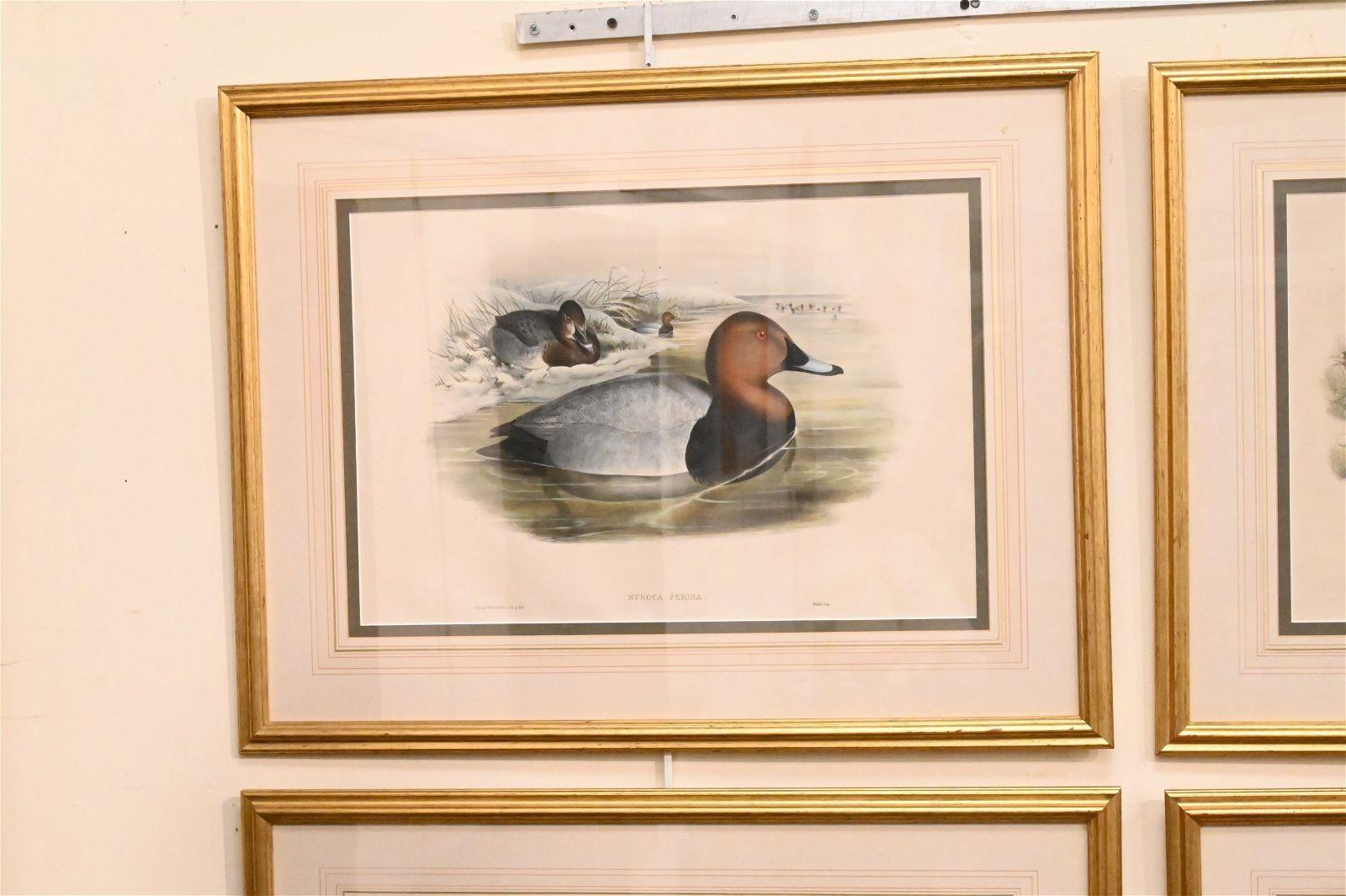 Paint Set of Six Framed and Matted Duck Prints For Sale