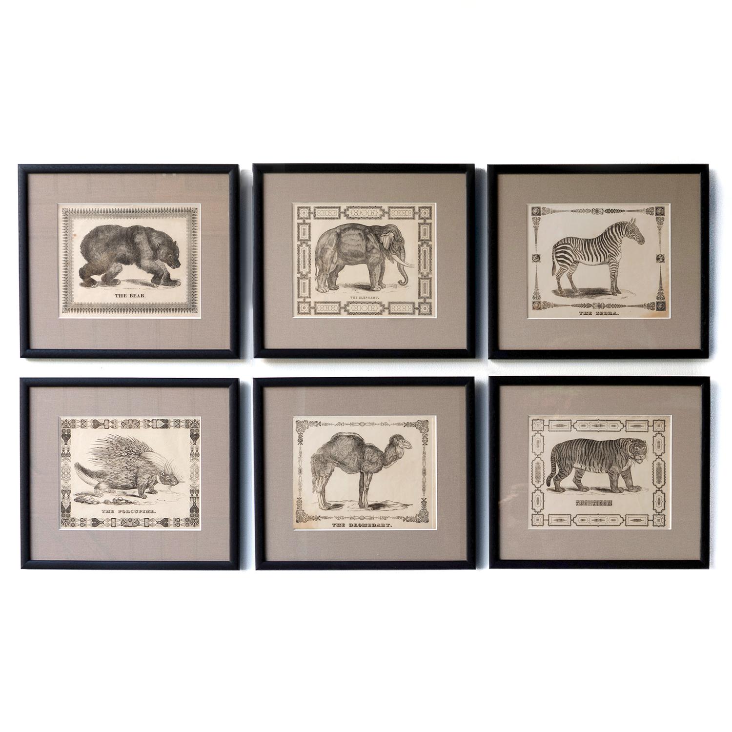 FRAMED WOODCUT ENGRAVINGS 
Depicting a Tiger, Zebra, Bear, Porcupine, Dromedary and an Elephant. Each with a title in a different typeface and each with a different fancy border. 

Originally taken from a single contact sheet from a catalogue of