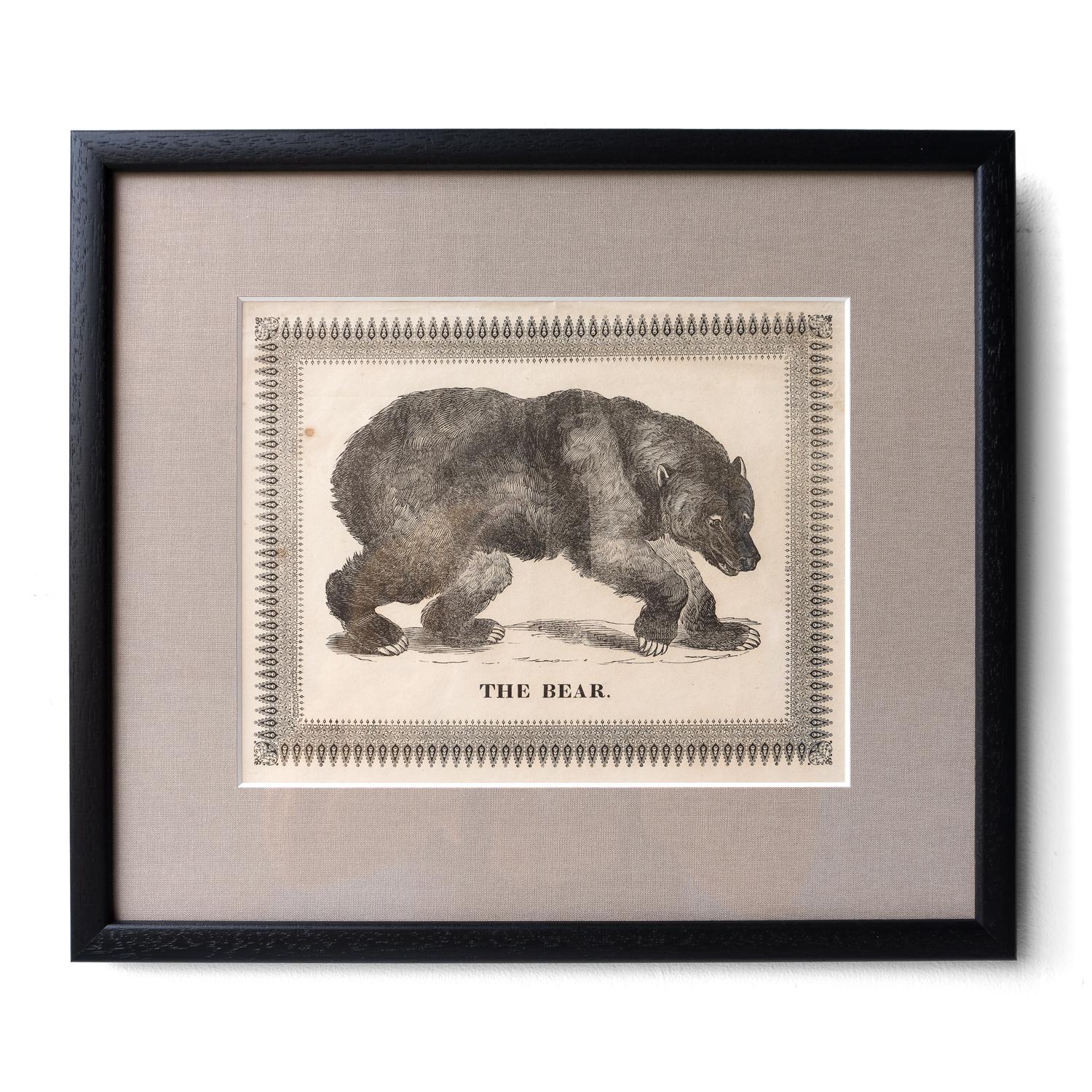 Set of Six Framed Antique Woodcut Engravings of Exotic Animals, 19th Century In Good Condition In Bristol, GB