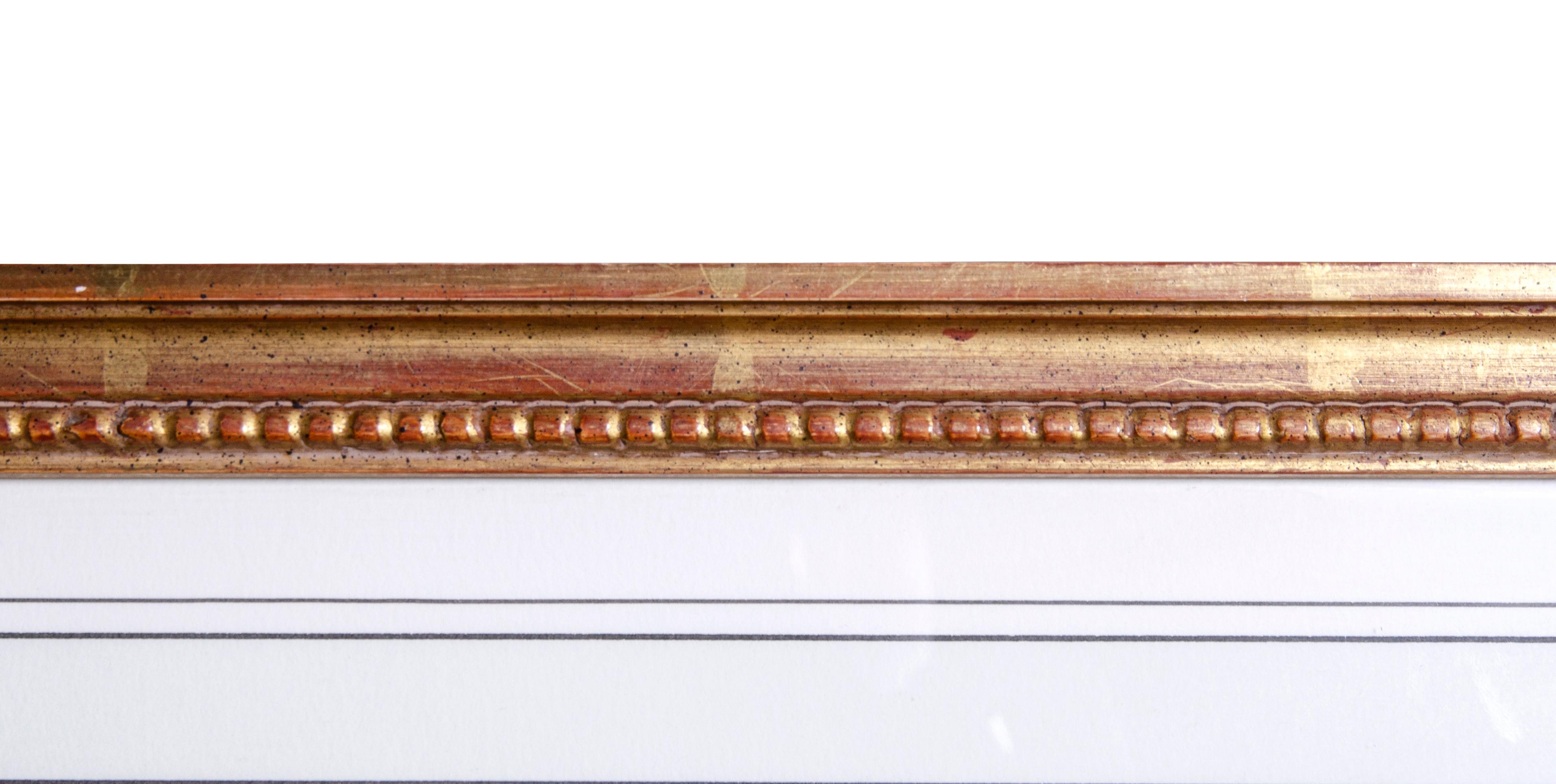Set of Six Framed Botanicals by Basilius Besler 7