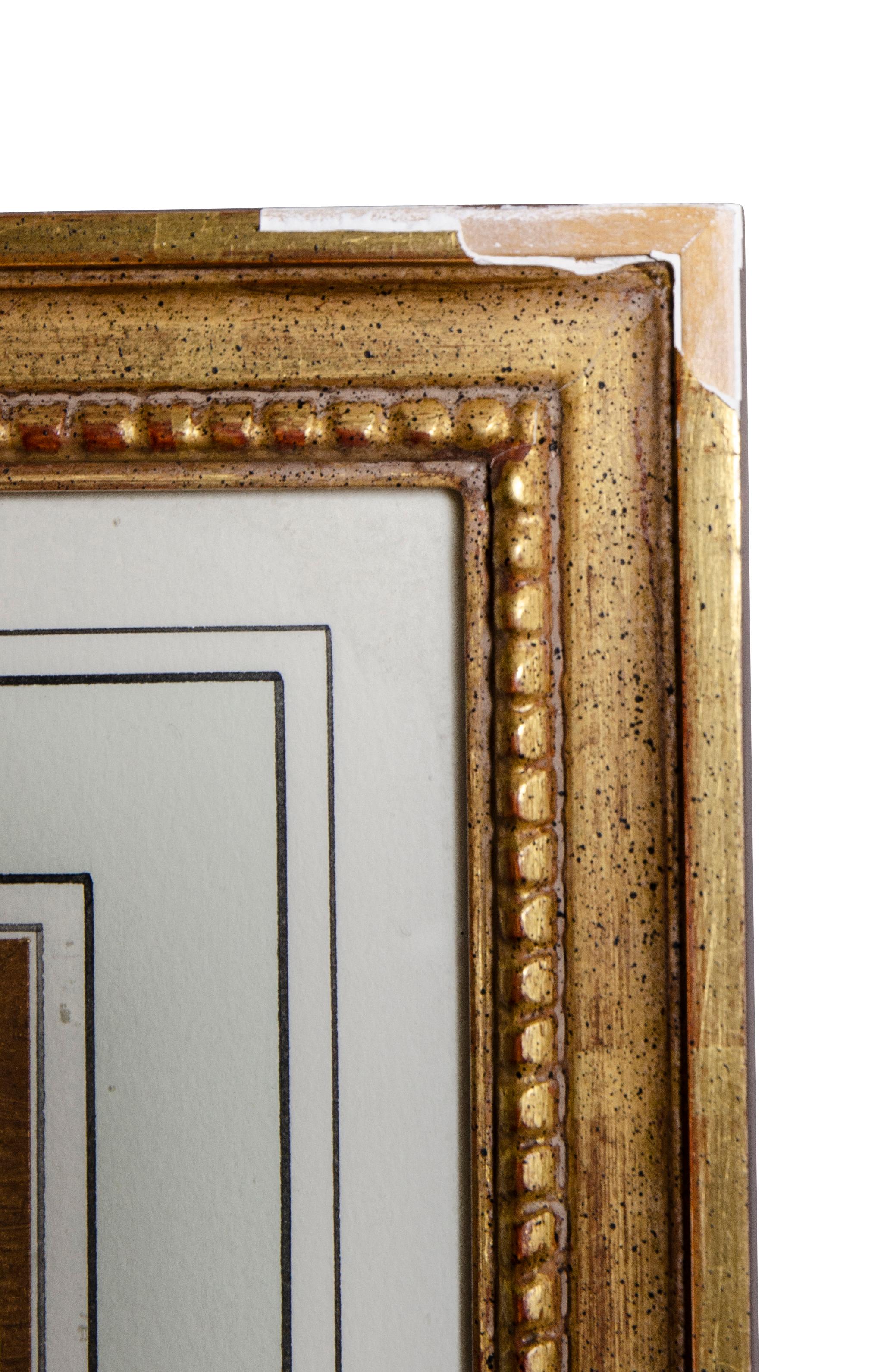 Set of Six Framed Botanicals by Basilius Besler 11