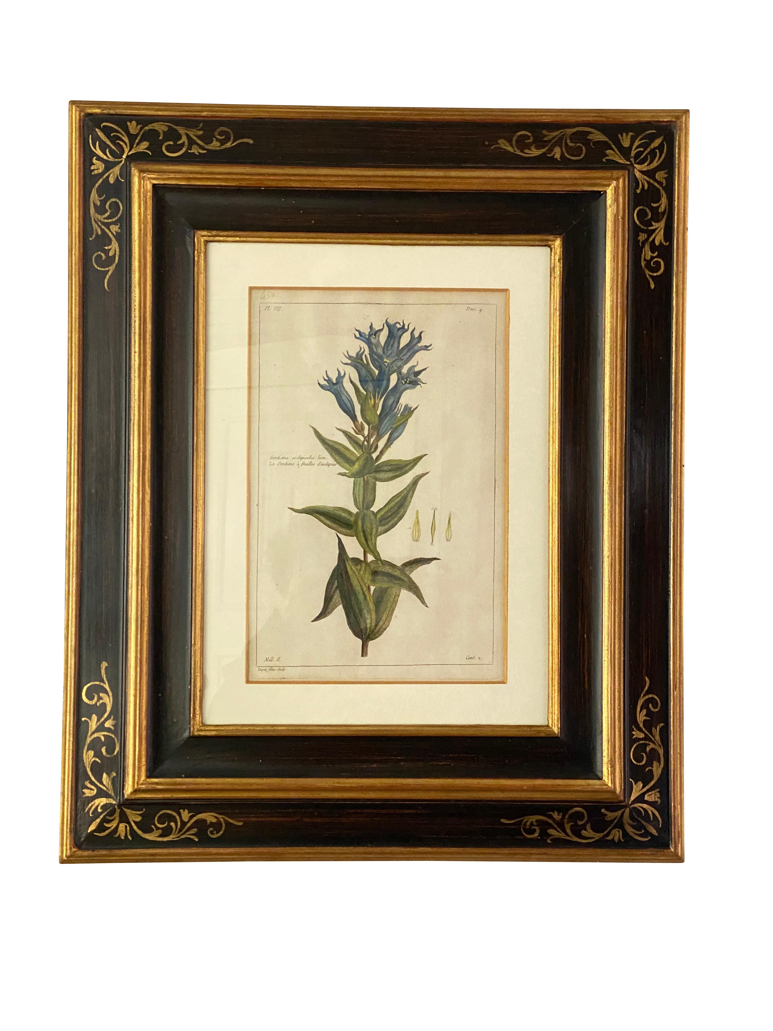 Beautifully framed hand colored engravings.