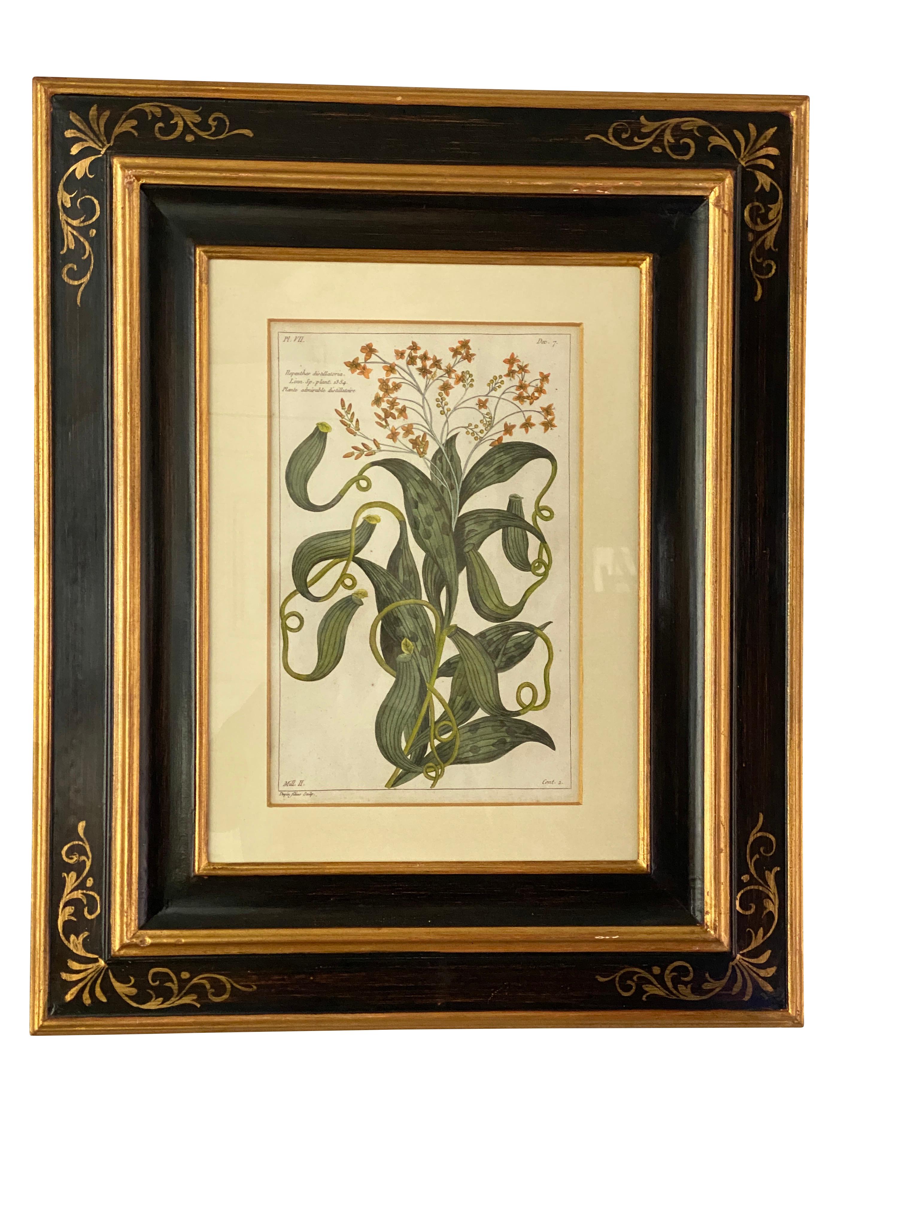Set of Six Framed Botanicals by Duchesne-Dupin In Good Condition In Essex, MA