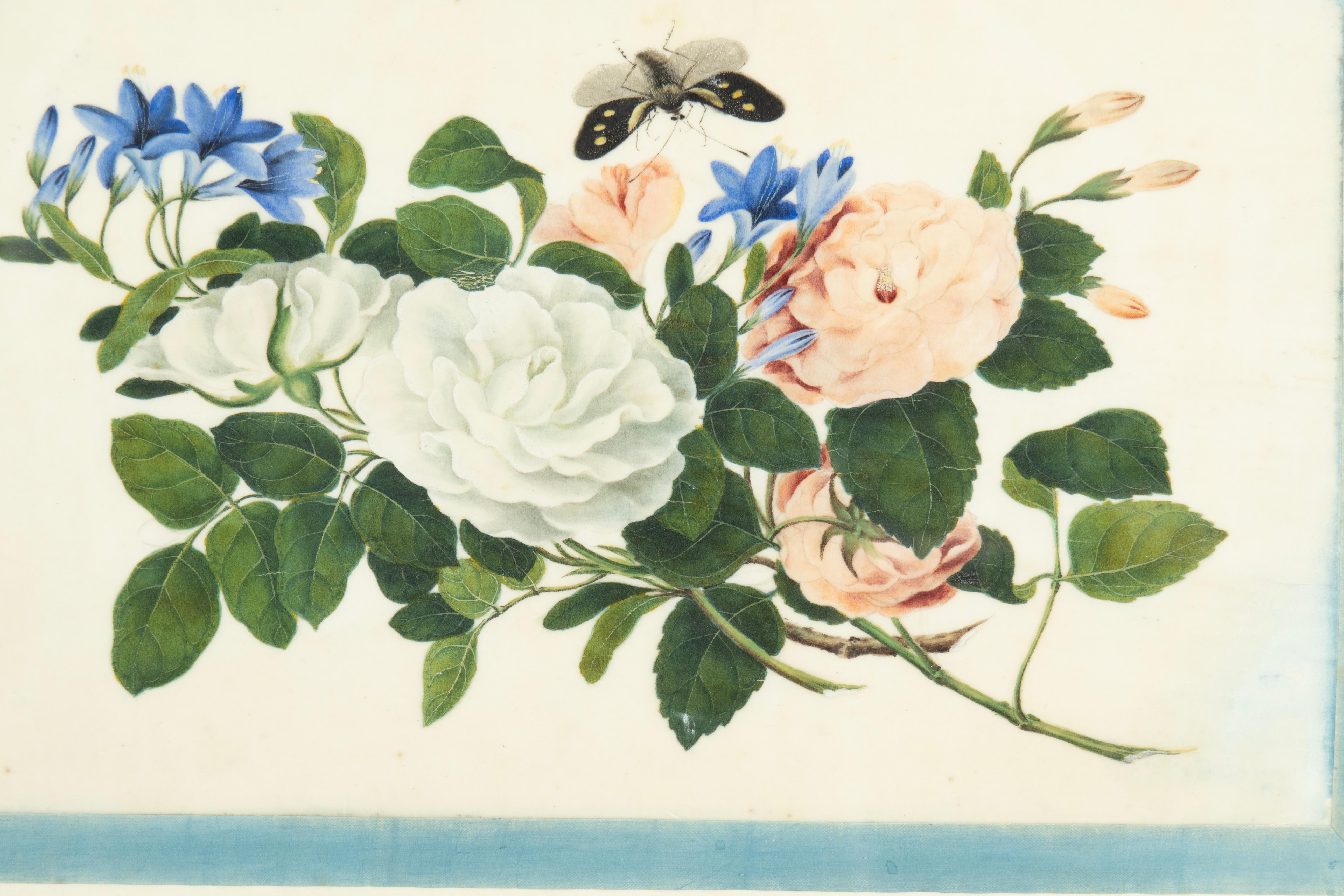 Set von sechs gerahmten chinesischen Export-Aquarellen mit Blumenmuster aus Kissenpapier im Angebot 11
