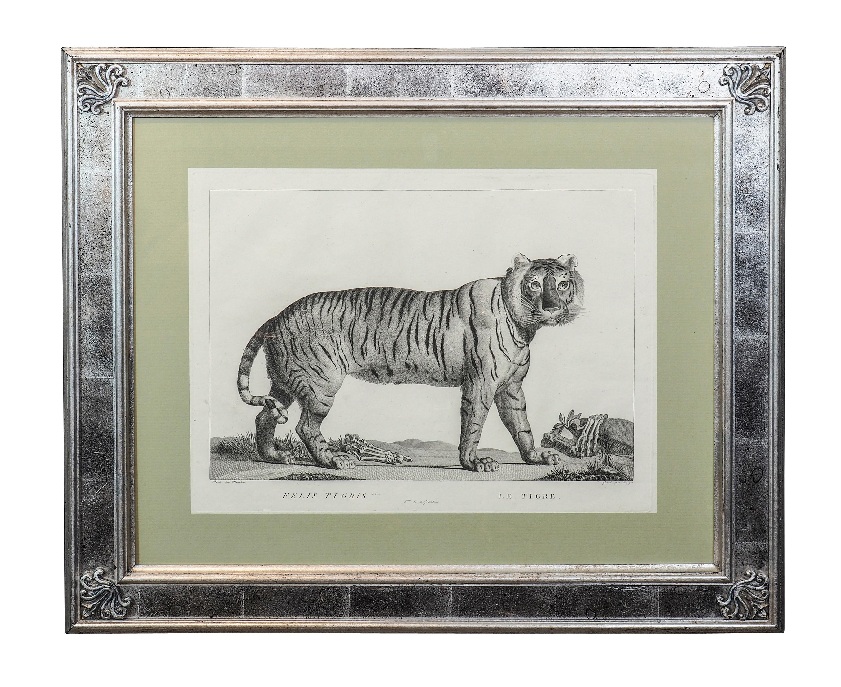 Early 19th Century Set of Six Framed Engravings of Exotic Animals After Nicholas Marechal