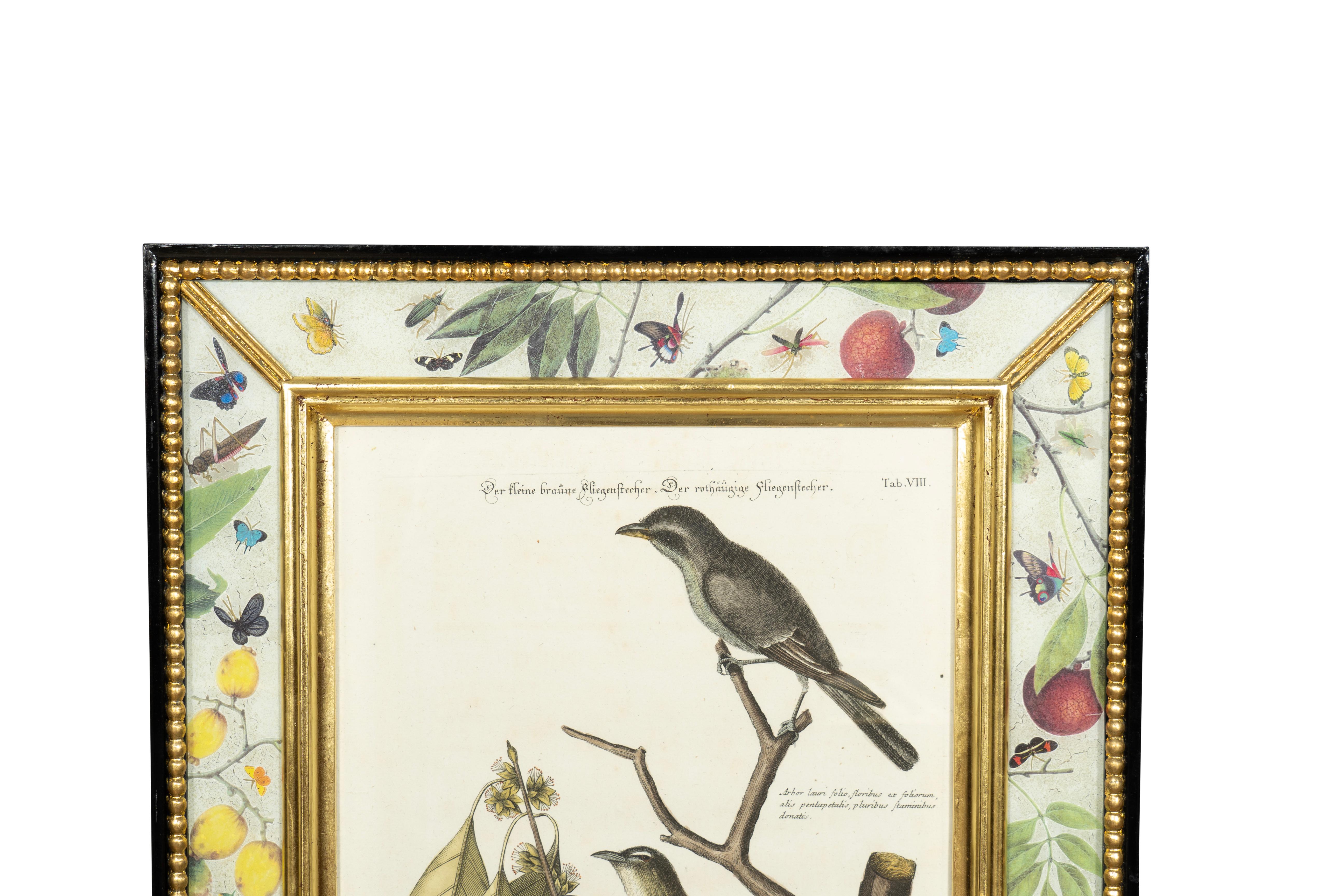 Set Of Six Framed Ornithological Prints 9