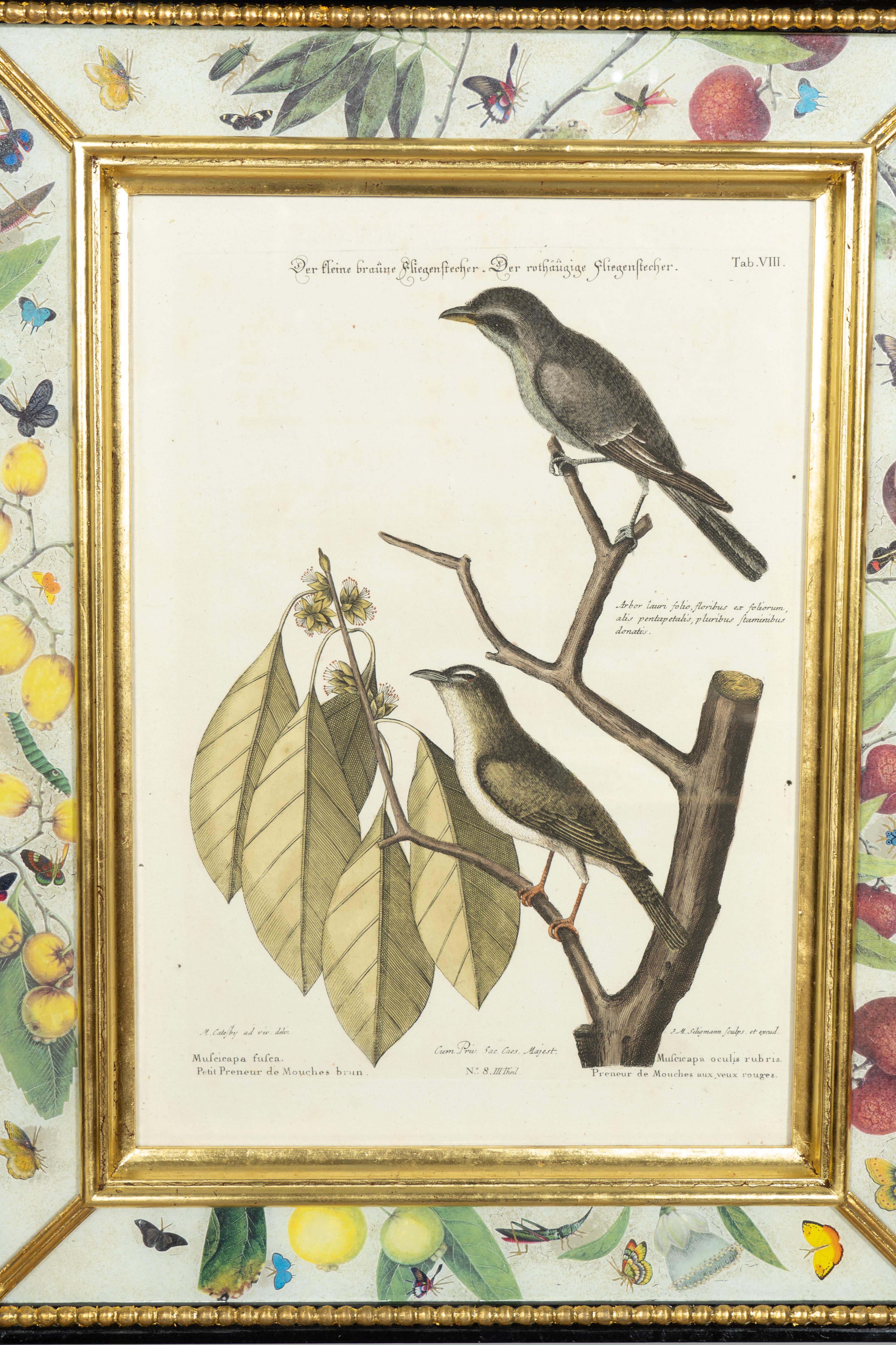 Set Of Six Framed Ornithological Prints 3