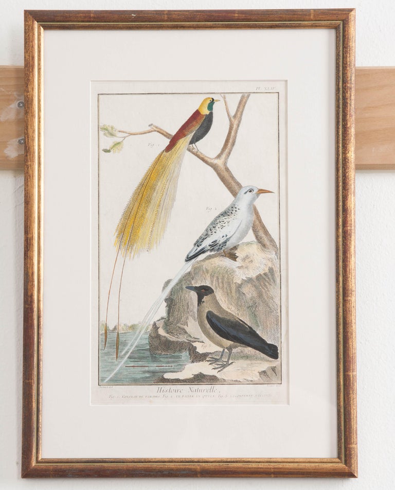 Set of Six French 18th Century Hand Colored Lithographs For Sale at 1stdibs