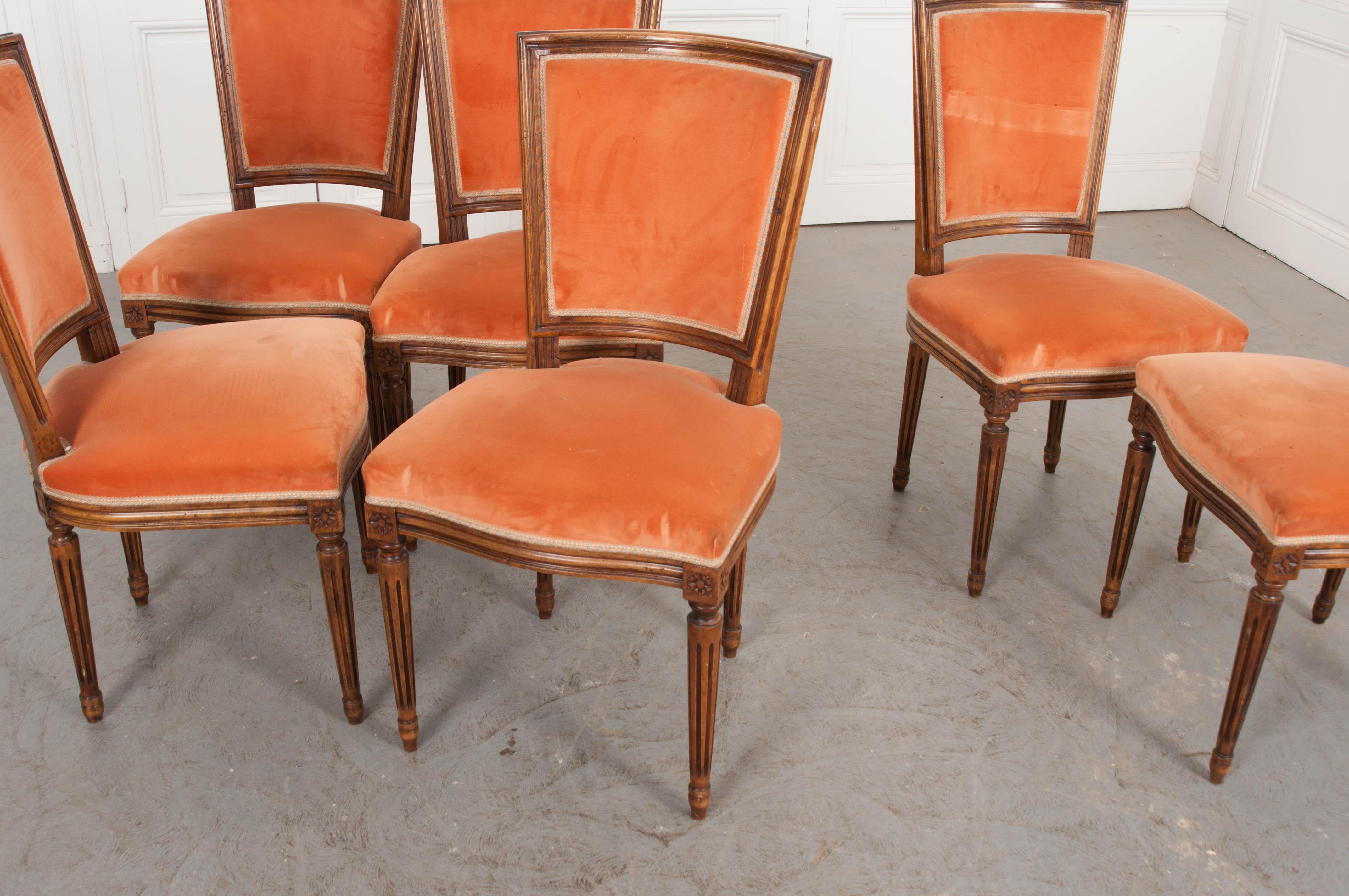 Set of Six French 19th Century Louis XVI Style Walnut Side Chairs 10