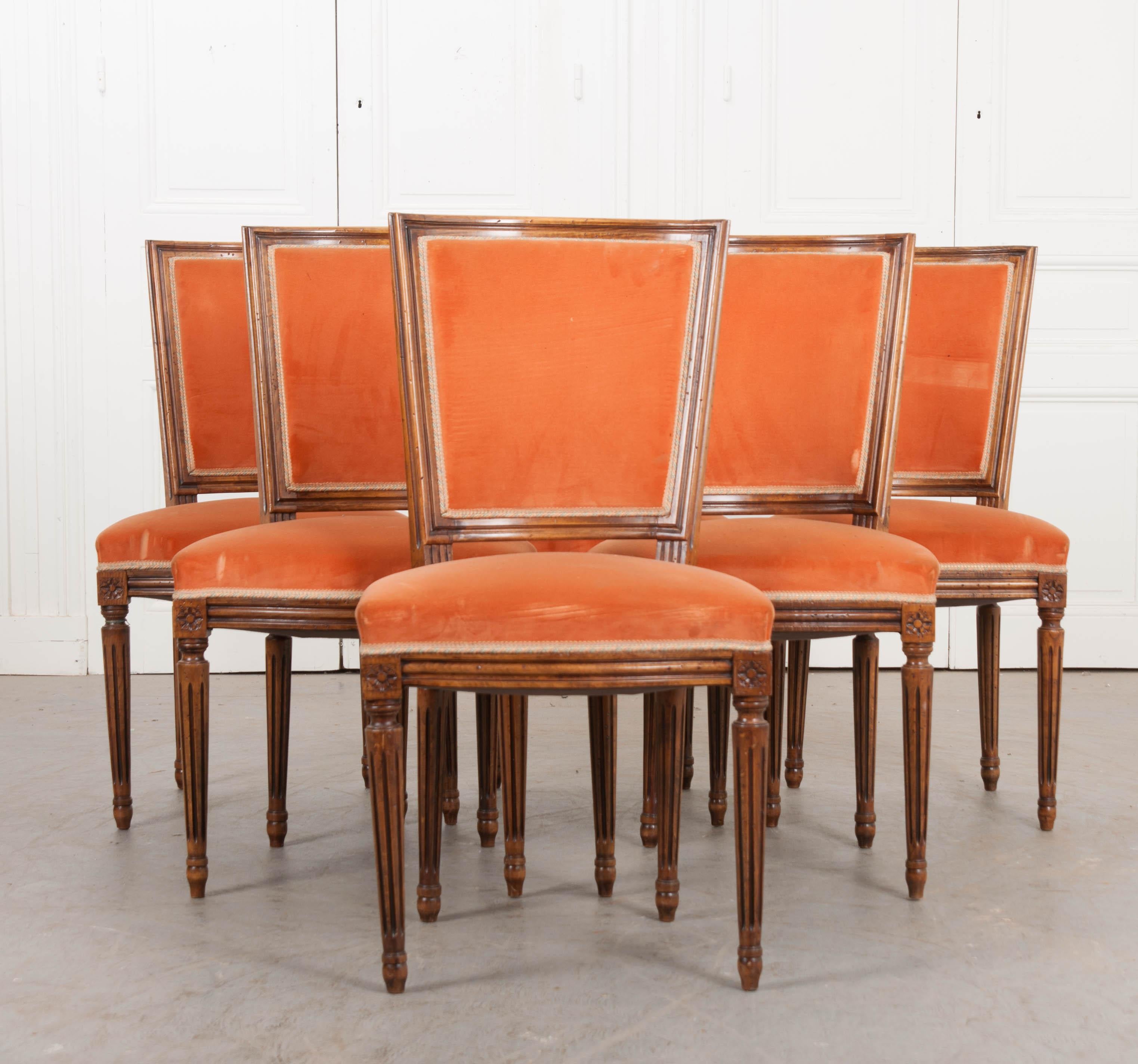 Set of Six French 19th Century Louis XVI Style Walnut Side Chairs 1