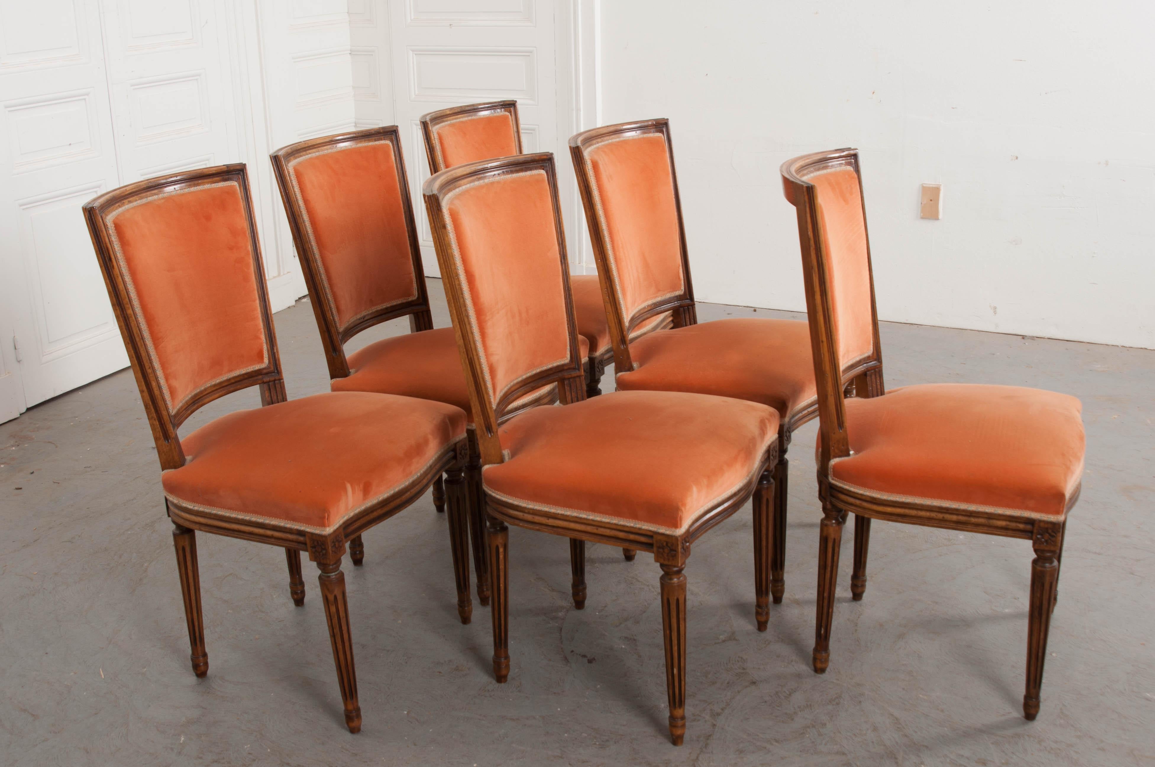 Set of Six French 19th Century Louis XVI Style Walnut Side Chairs 4