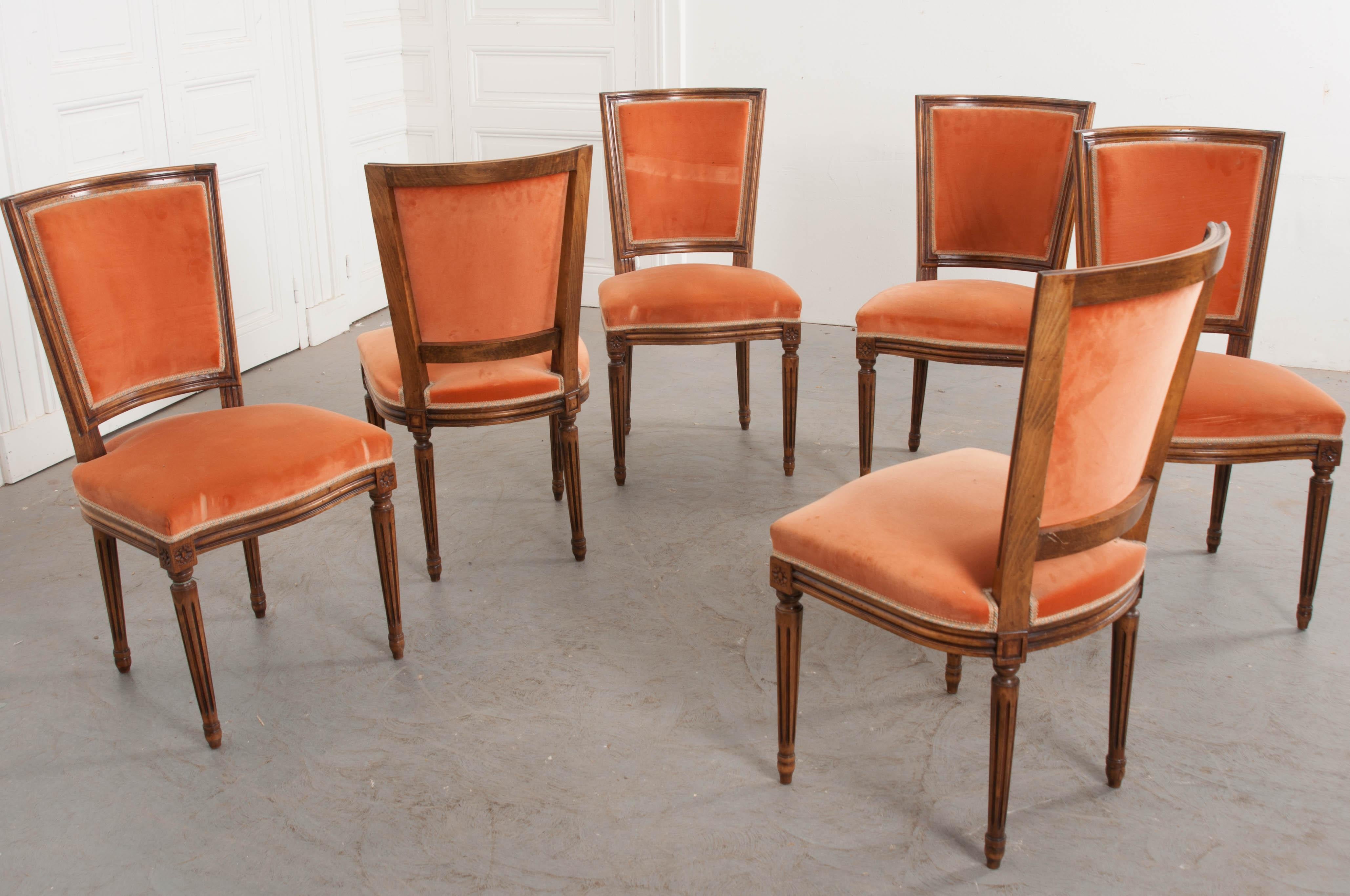 Set of Six French 19th Century Louis XVI Style Walnut Side Chairs 5