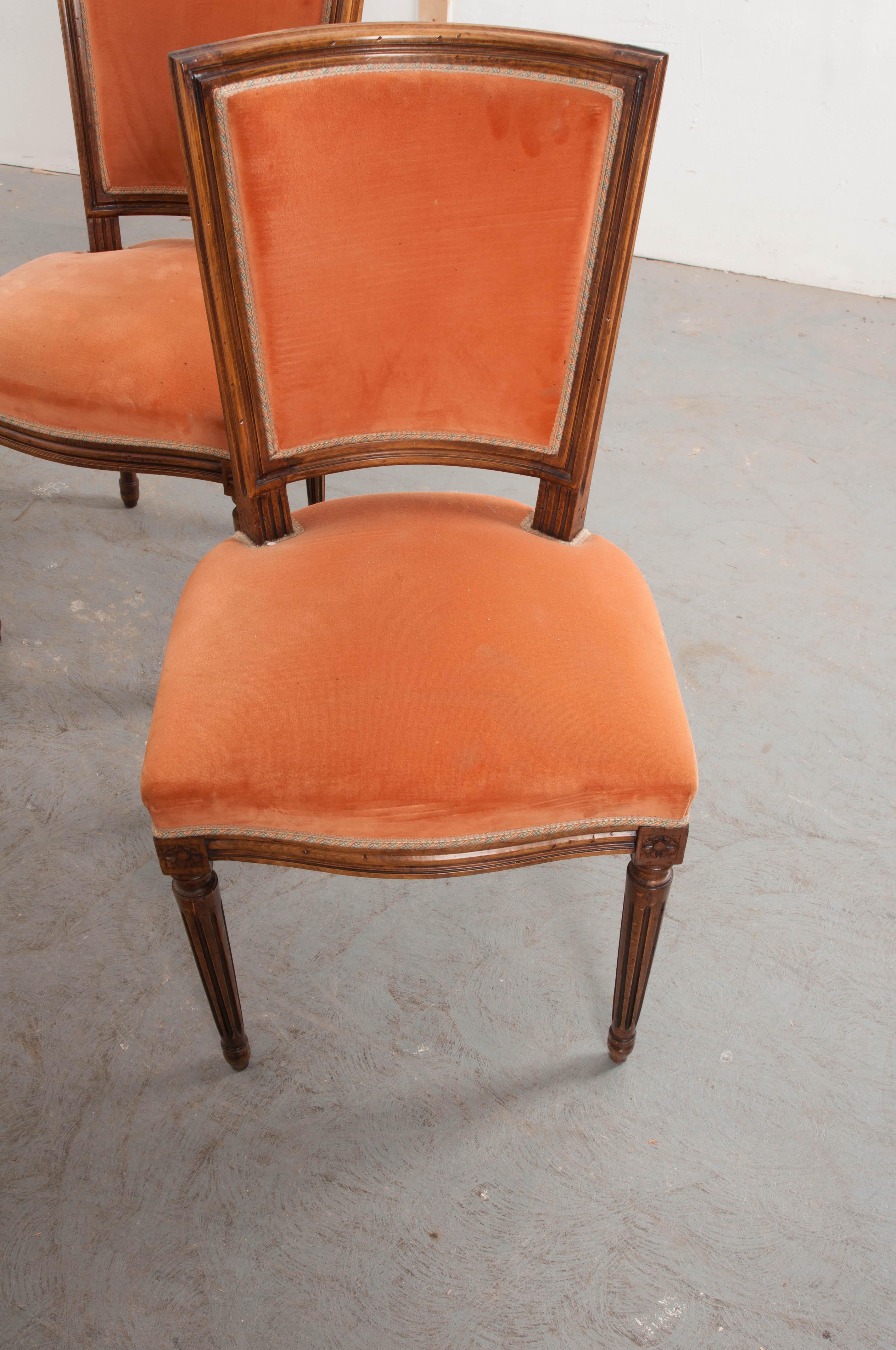 Set of Six French 19th Century Louis XVI Style Walnut Side Chairs 6