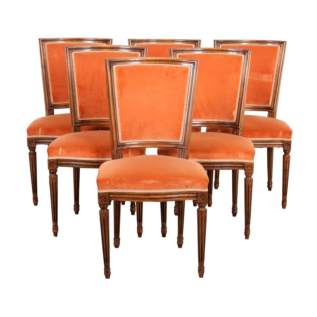 Set of Six French 19th Century Louis XVI Style Walnut Side Chairs