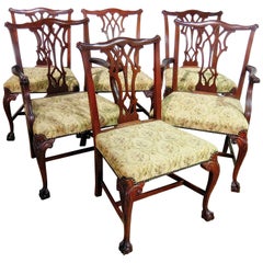 Set of Six Georgian Style Dining Chairs