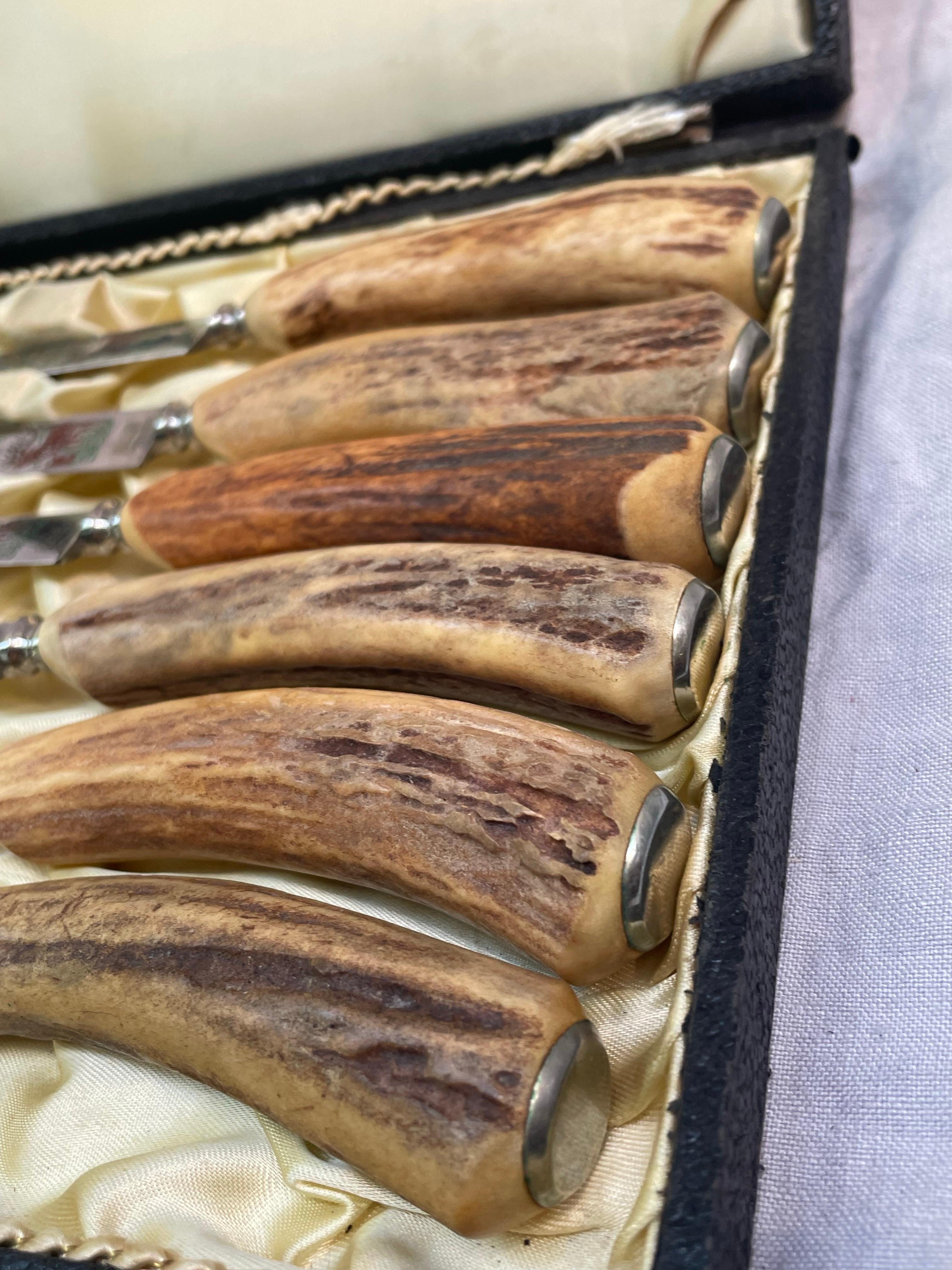 Satz von sechs deutschen Steakmessern mit Hirschhorngriff von Solingen (Edelstahl) im Angebot