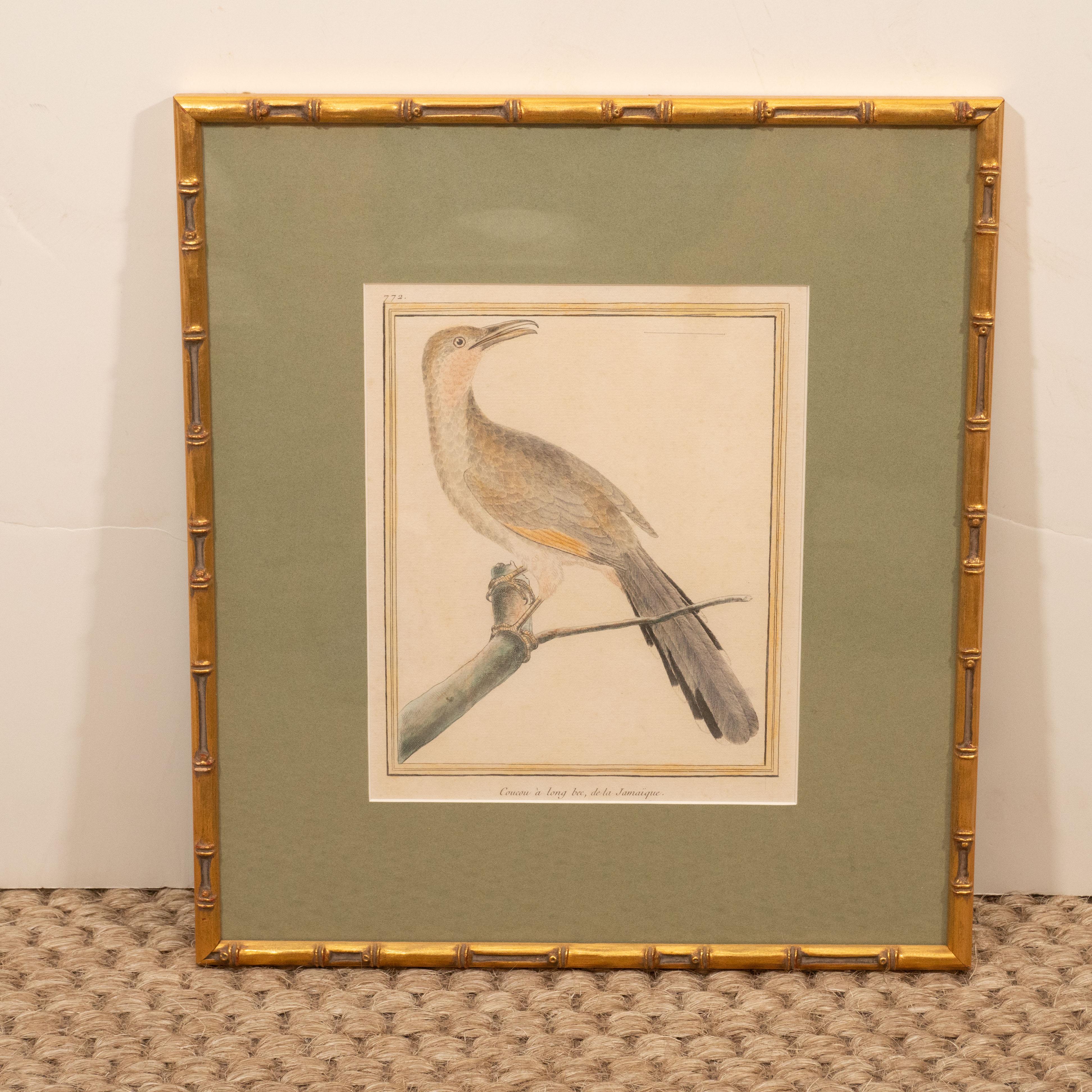 The exquisite detail and rich, saturated color make these bird engravings stand apart from others. Dating from the 18th century, these hand colored engravings from France are matted and framed in faux bamboo gold frames. A great way to add color and