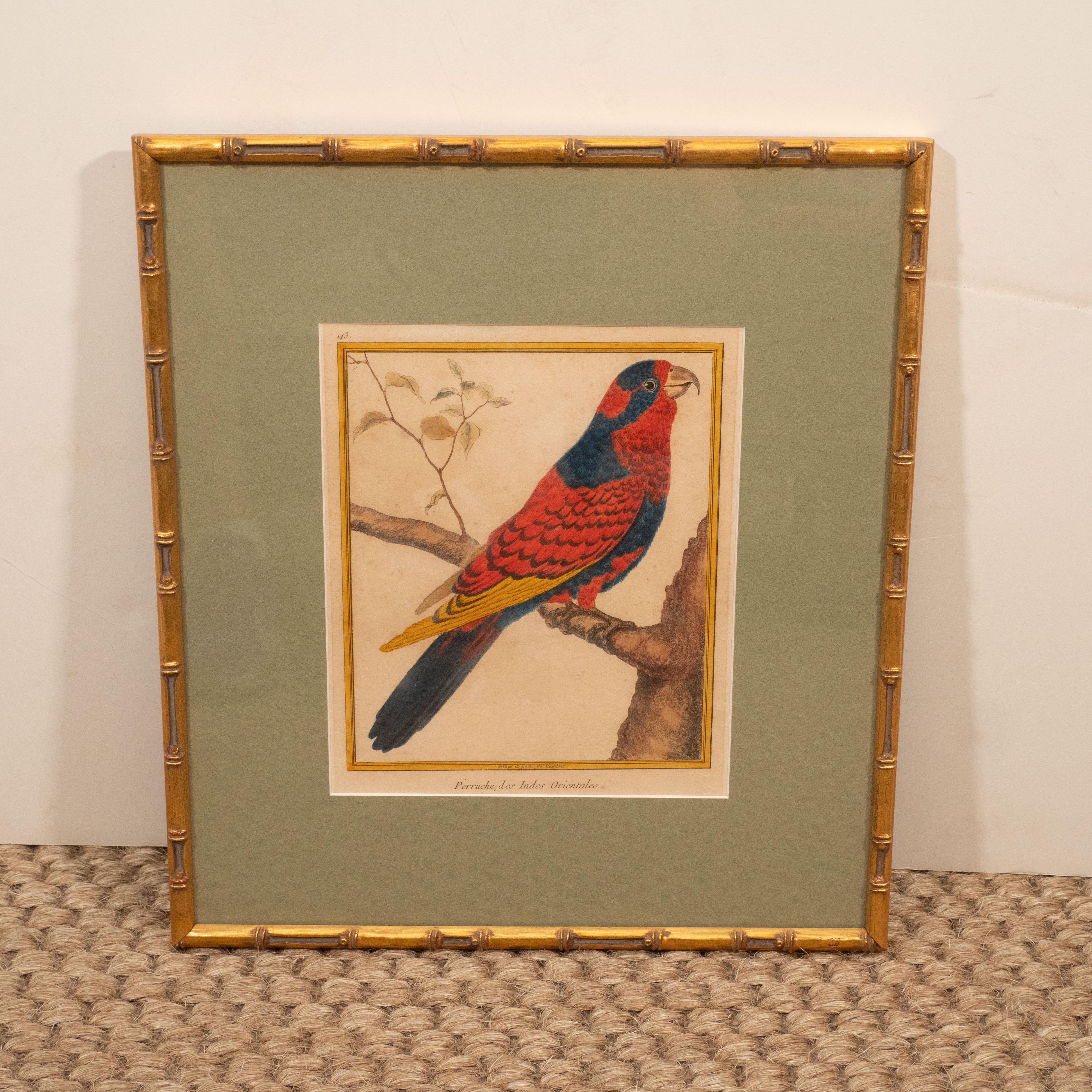 Set of Six Hand-Colored Bird Engravings 2