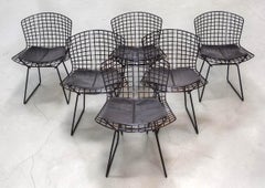 Set di sei sedie Harry Bertoia modello 420 con cuscini per Knoll, USA