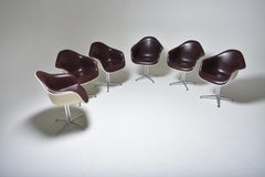 Set of Six Herman Miller La Fonda Armchairs DAL White and Brown, 1970