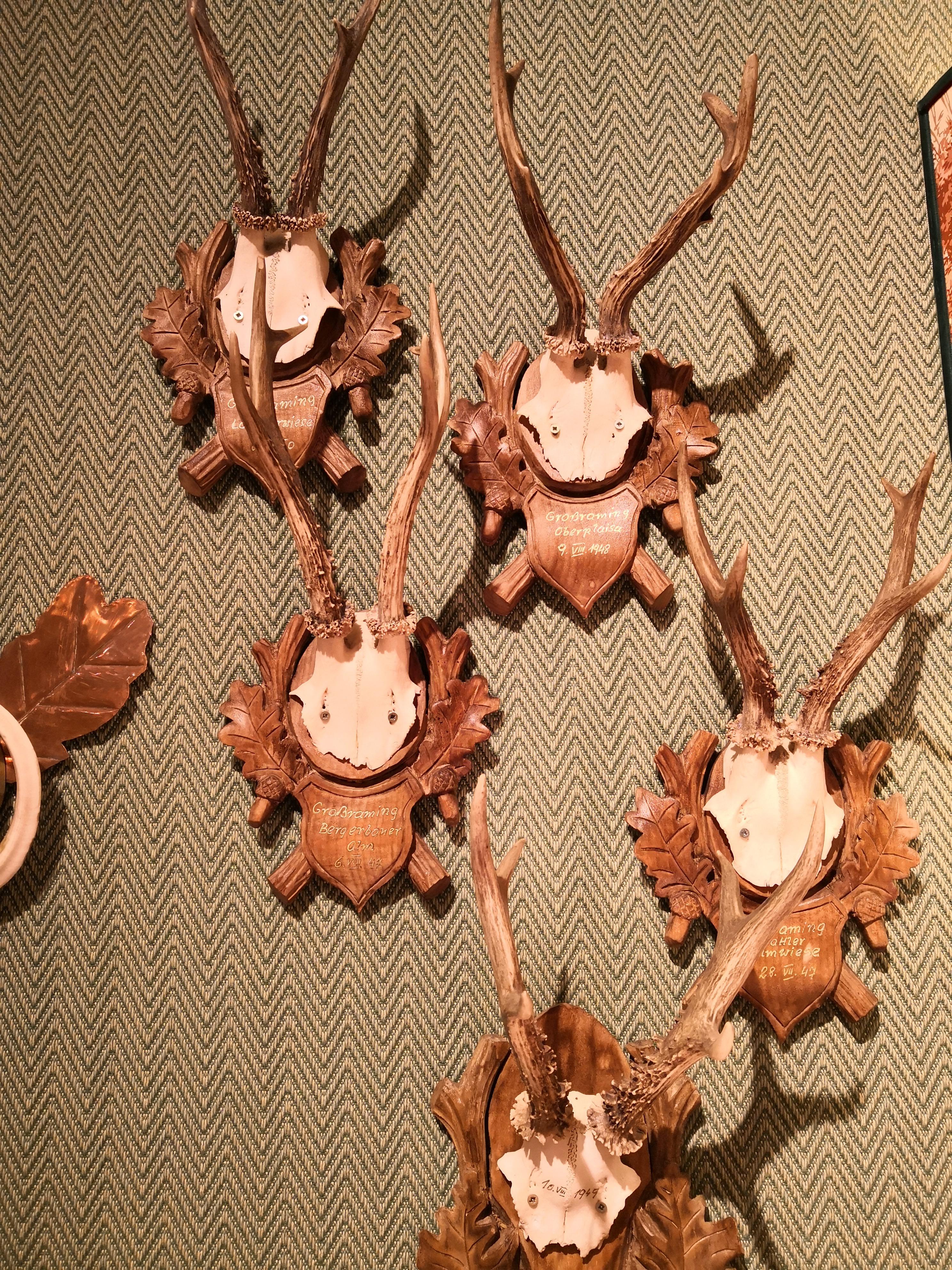 Set of six hand-carved hunting plaques with deer trophies. Wooden plaques hand-engraved from wood with oaks and oak leaves in the traditional style of Black Forest.
Each plaque is signed by hand Grossraming, which is a hunting area in Austria. Each