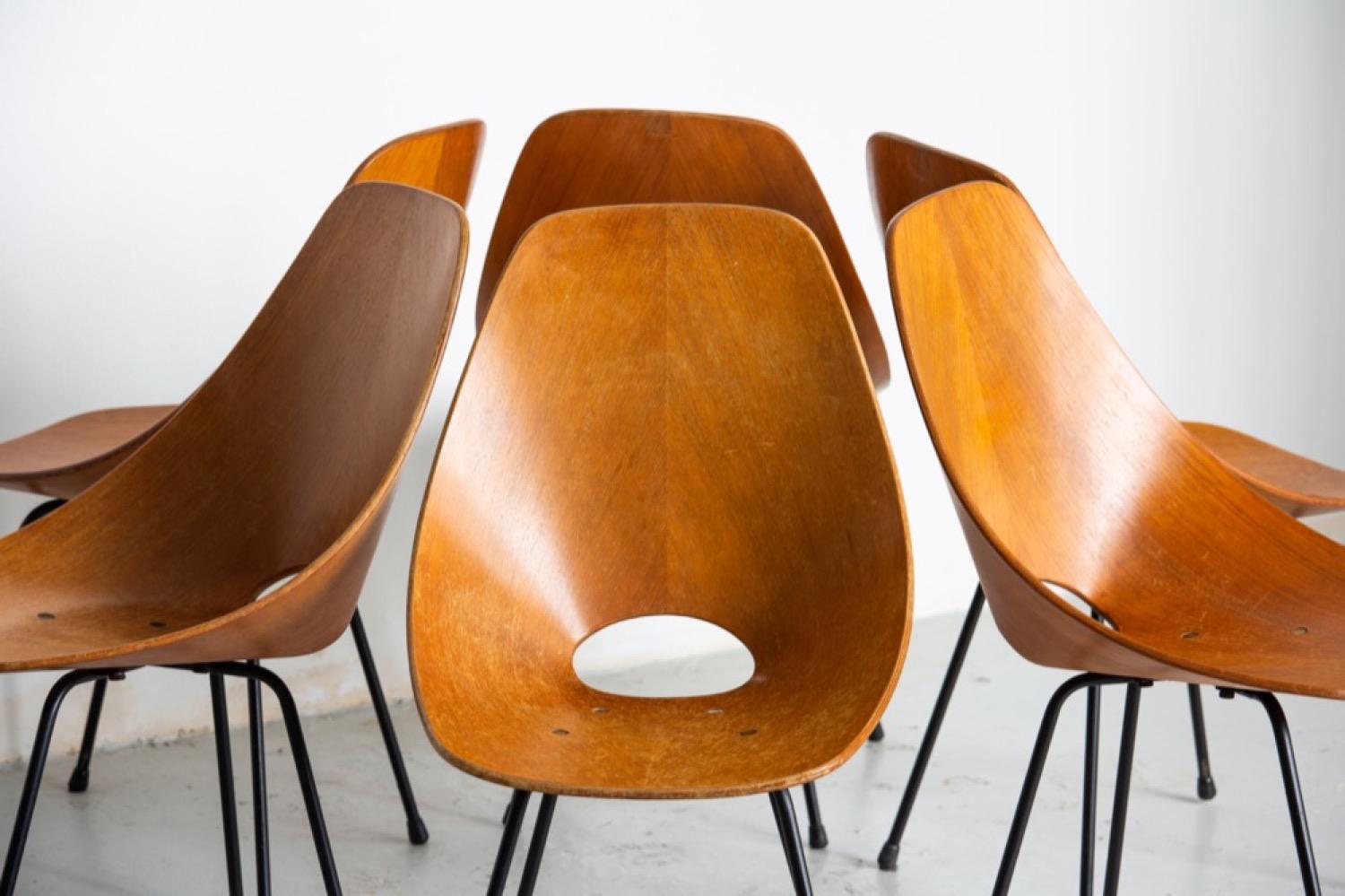 Milieu du XXe siècle Ensemble de six chaises de salle à manger italiennes de collection Medea Wood du milieu du siècle dernier par Tagliabue en vente