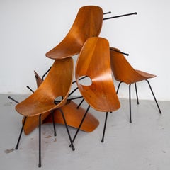 Set of six Medea Curved Wood Dining Chairs by Vittorio Nobili - Collectibles
