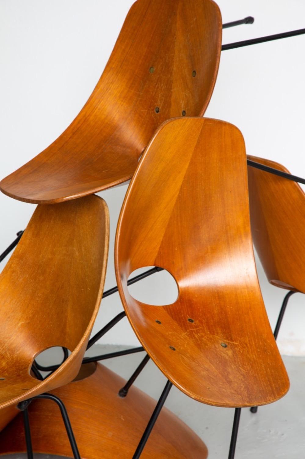 Ensemble de six chaises de salle à manger italiennes de collection Medea Wood du milieu du siècle dernier par Tagliabue en vente 1