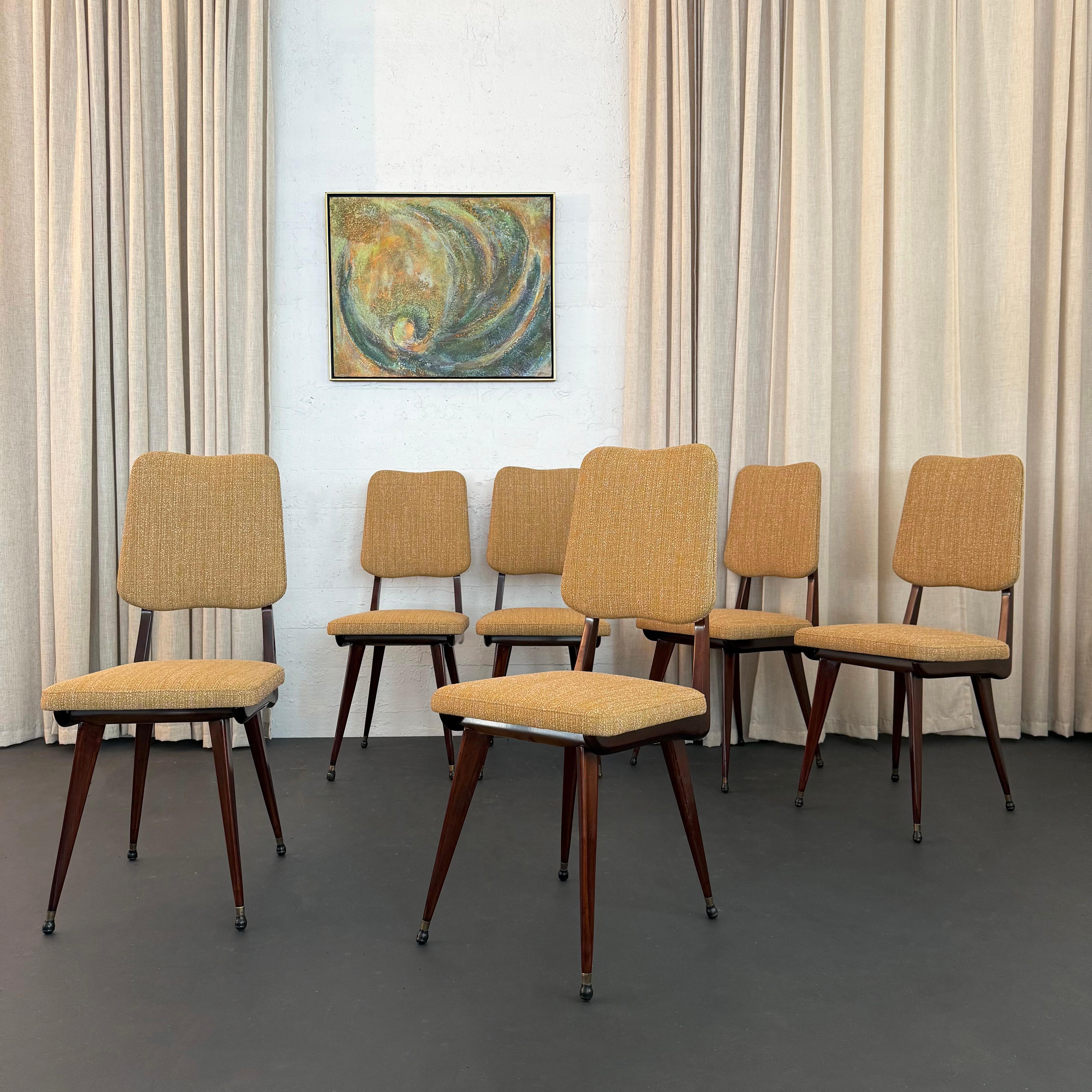 Ensemble de six chaises de salle à manger italiennes en acajou, modernes du milieu du siècle dernier en vente 2